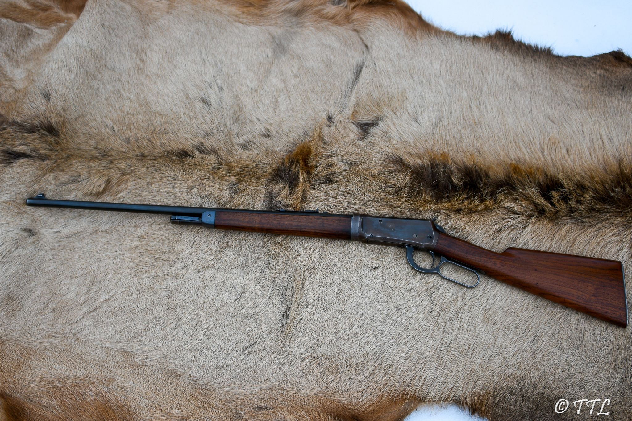 Photo of Winchester Model 55 TD 30WCF