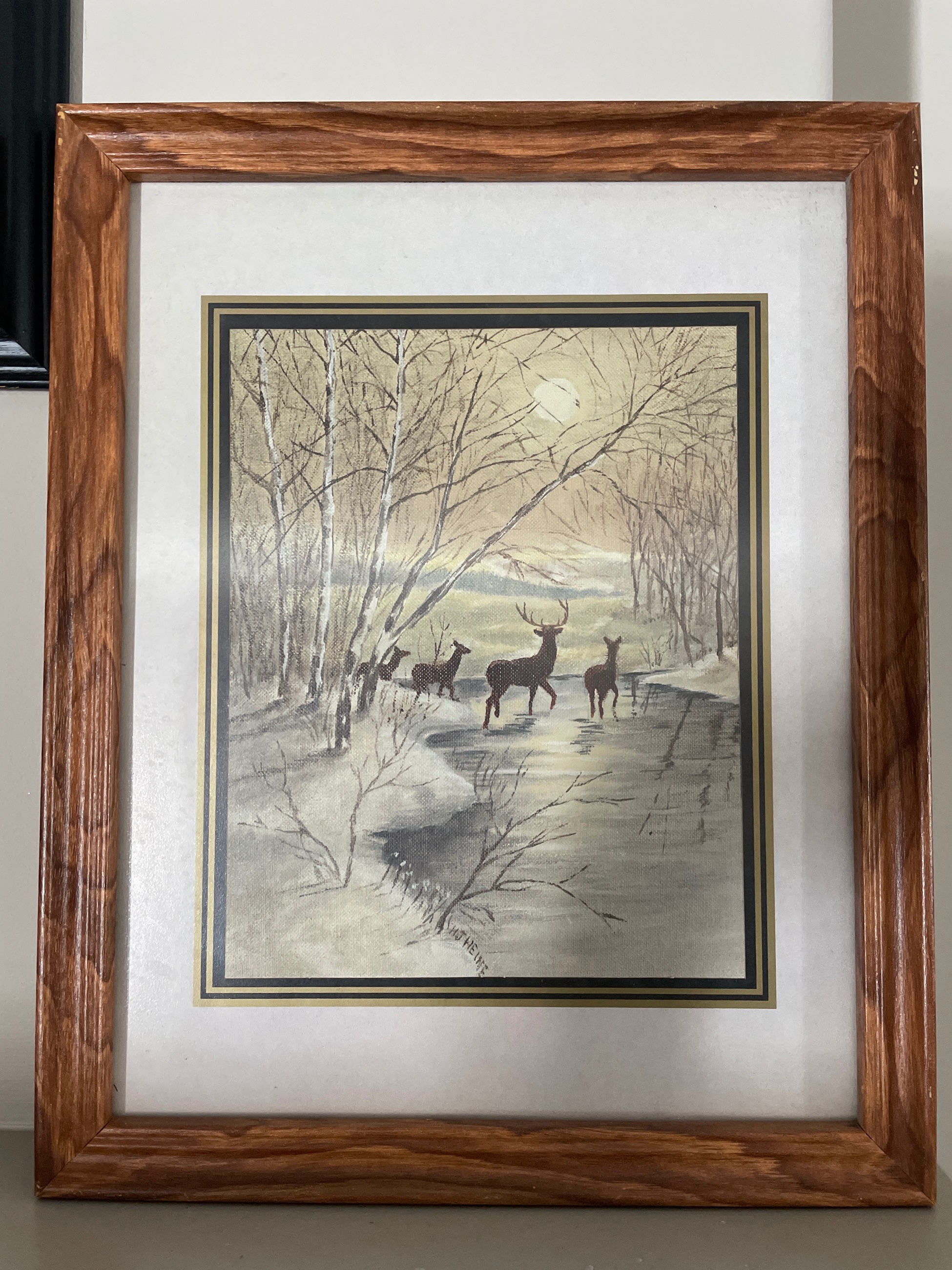 Photo of Deer picture