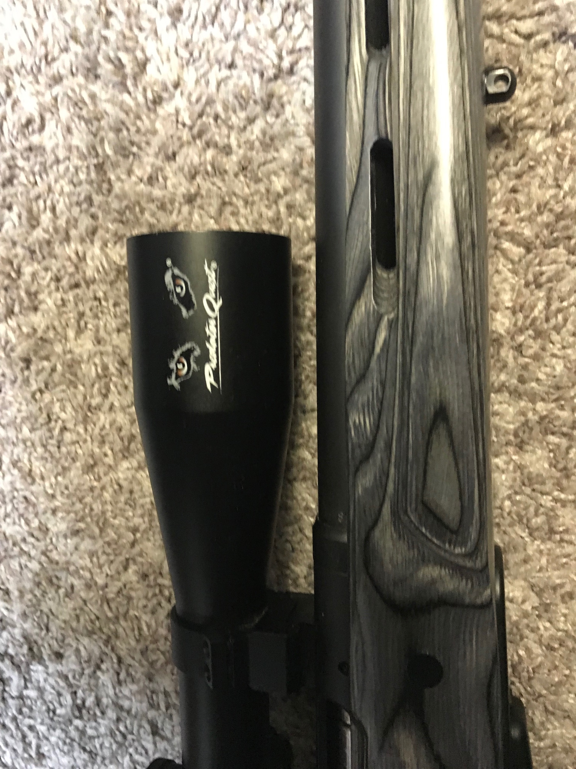 Photo of Savage model 25 Walking Varmiter in 222 caliber 