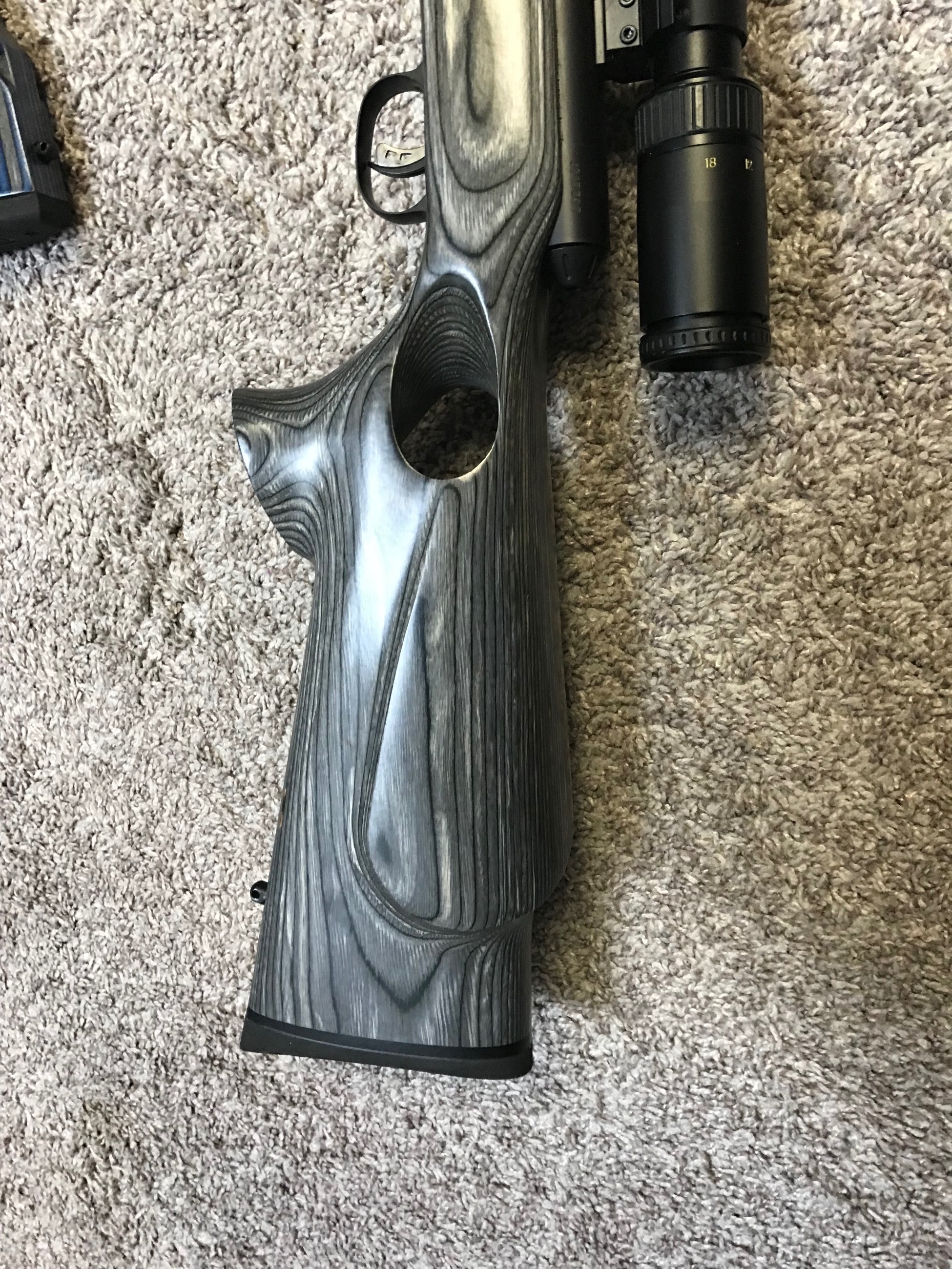 Photo of Savage model 25 Walking Varmiter in 222 caliber 