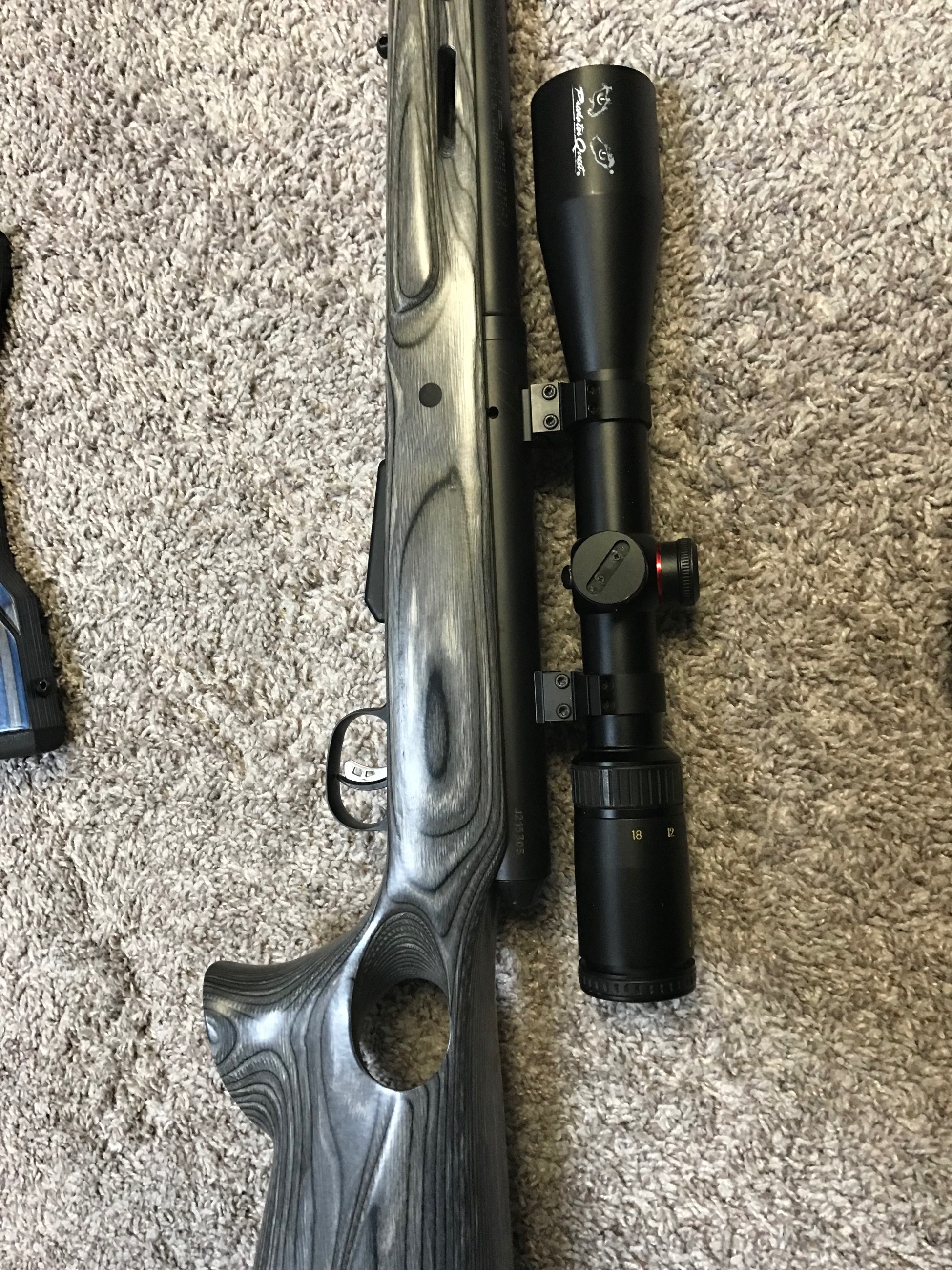 Photo of Savage model 25 Walking Varmiter in 222 caliber 