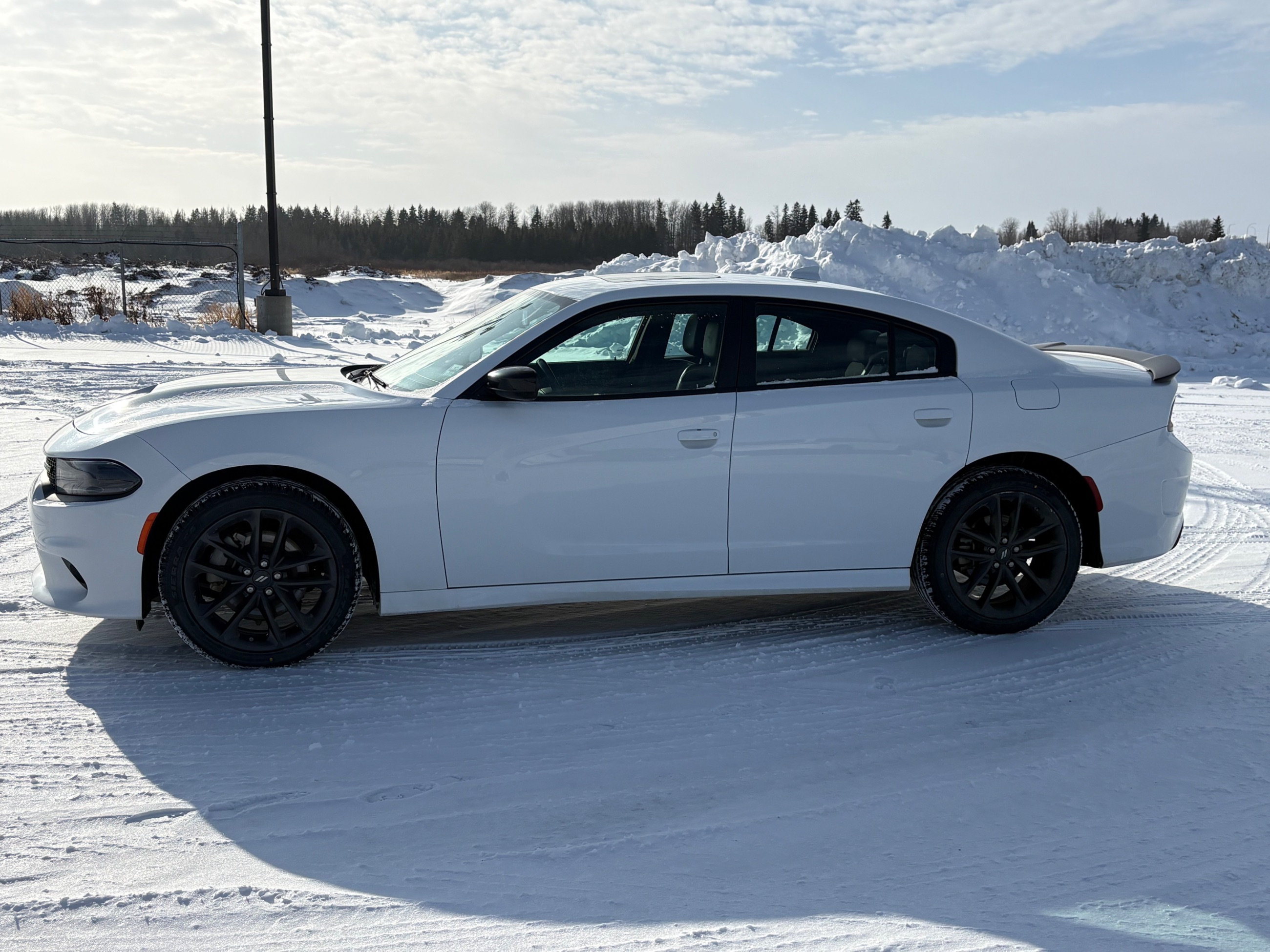 Photo of 🔹 2023 Dodge Charger GT AWD – Eye-Catching White • Great Price! 🔹