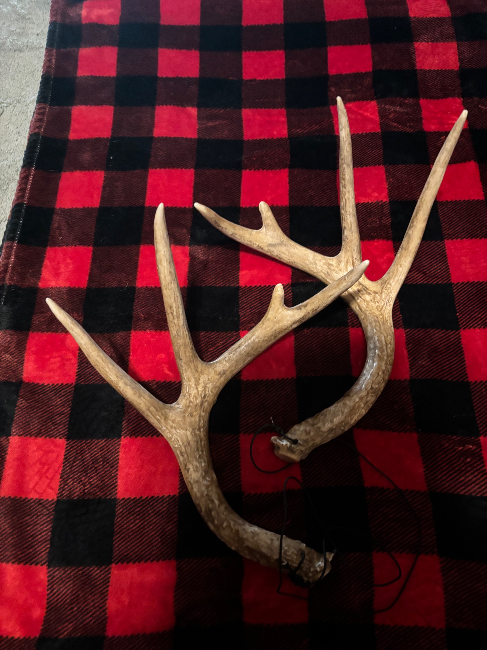Photo of Synthetic Rattling Antlers $25.