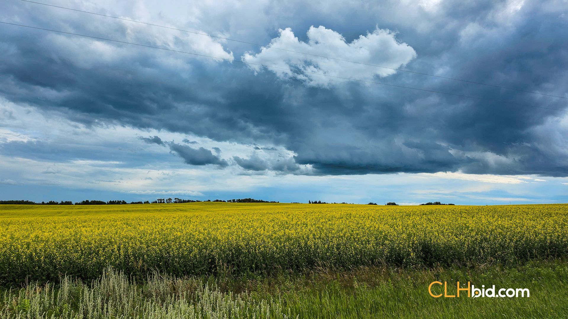 Photo of 232 Acres Farm Land For Sale - Mundare, AB