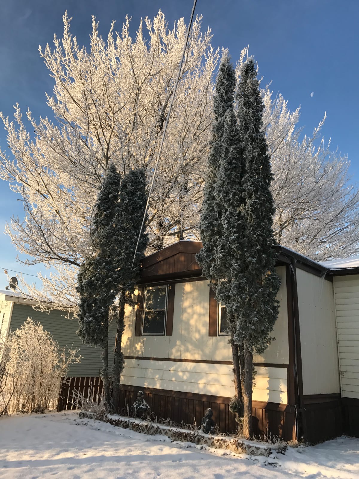 Photo of Trailer house for rent