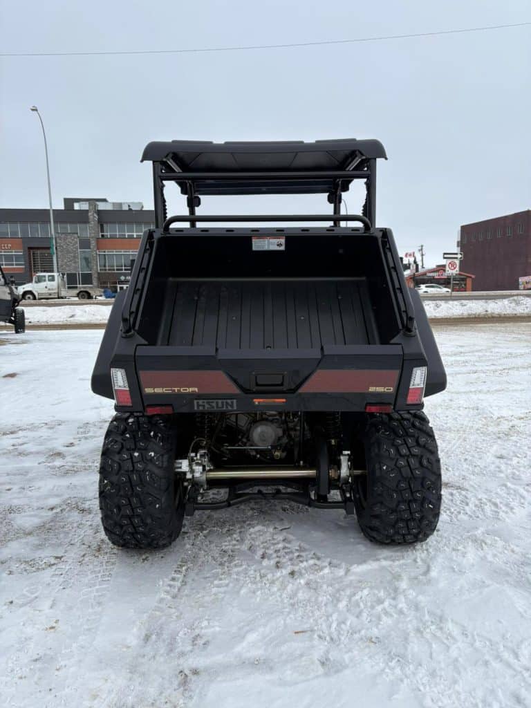 Photo of 2026 Hisun Sector 250