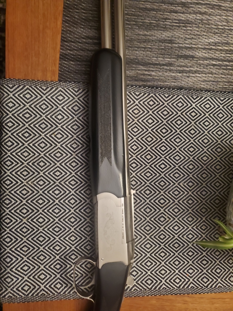 Photo of 20gauge over/under Stoger nickel plated 