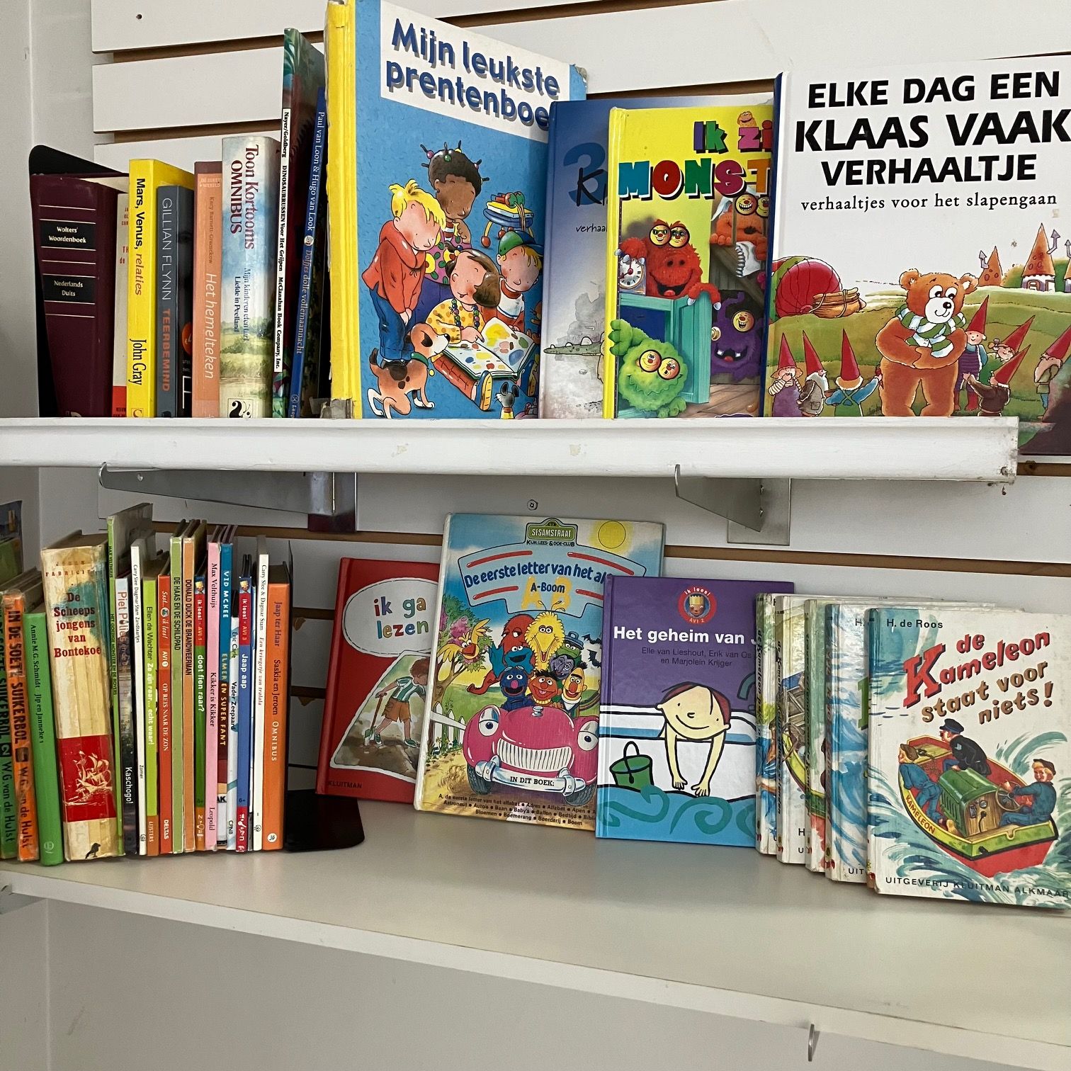 Photo of Dutch Language Books from Netherlands Holland