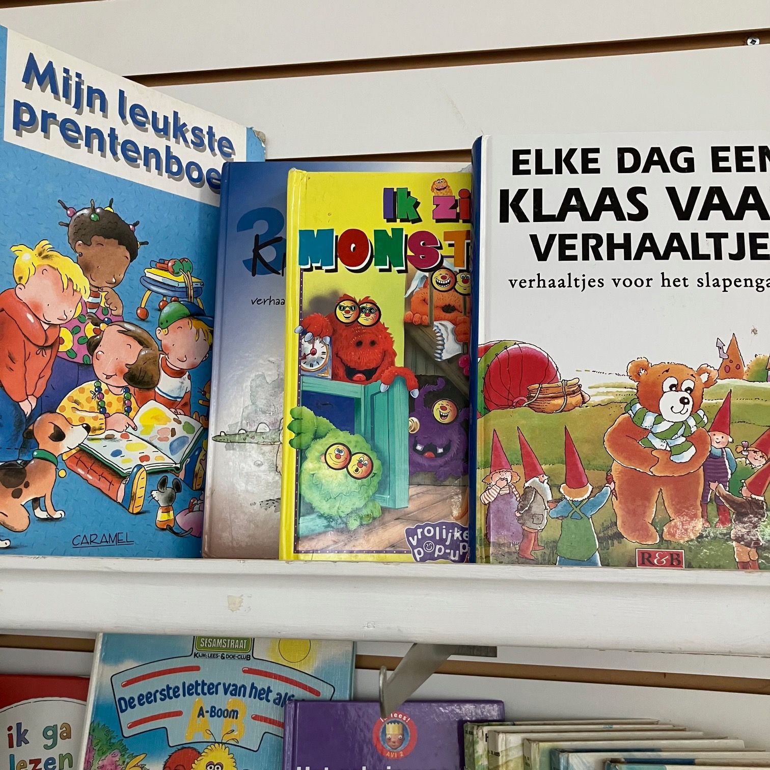 Photo of Dutch Language Books from Netherlands Holland