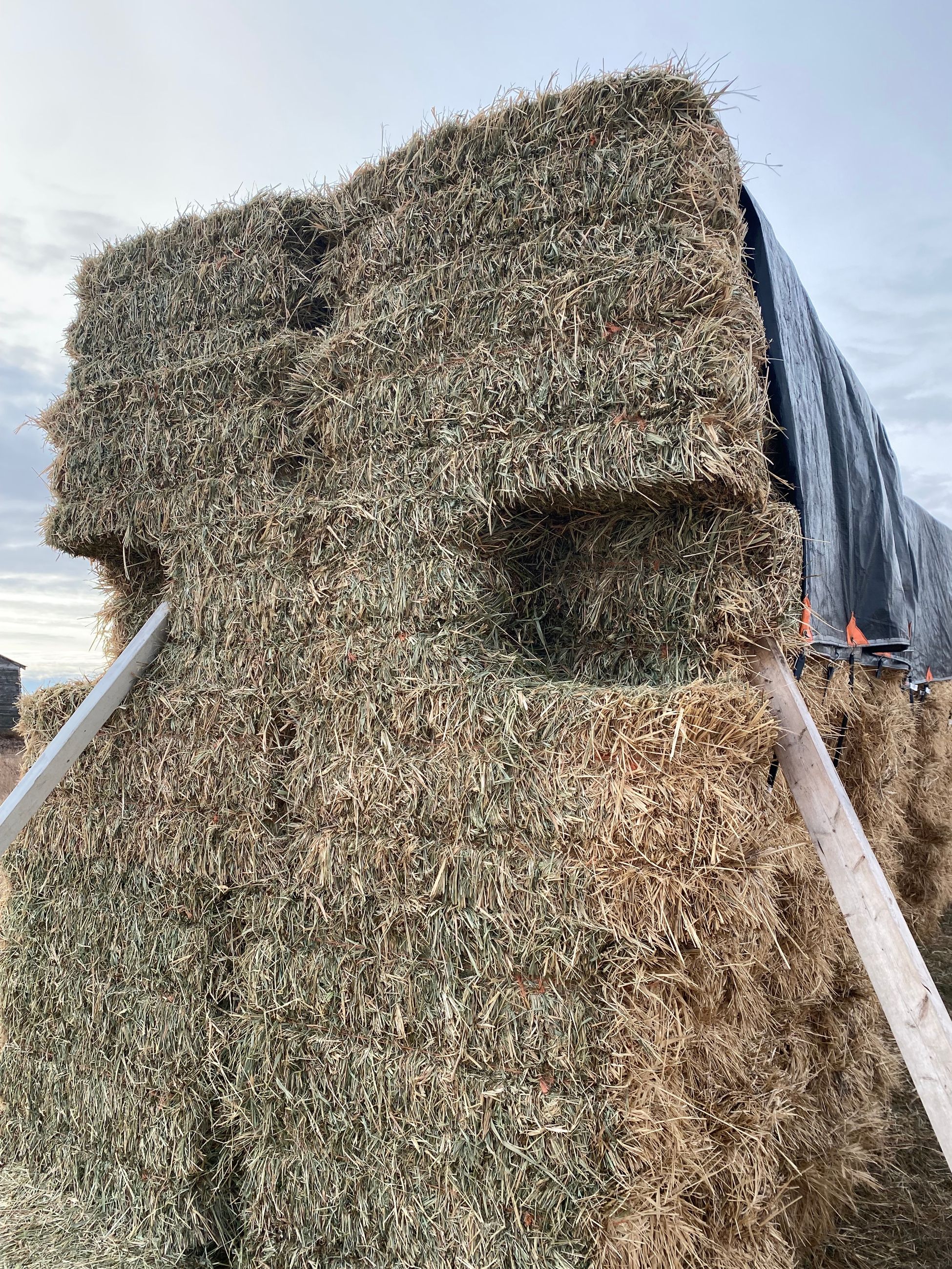 Photo of Small Square Hay Bales