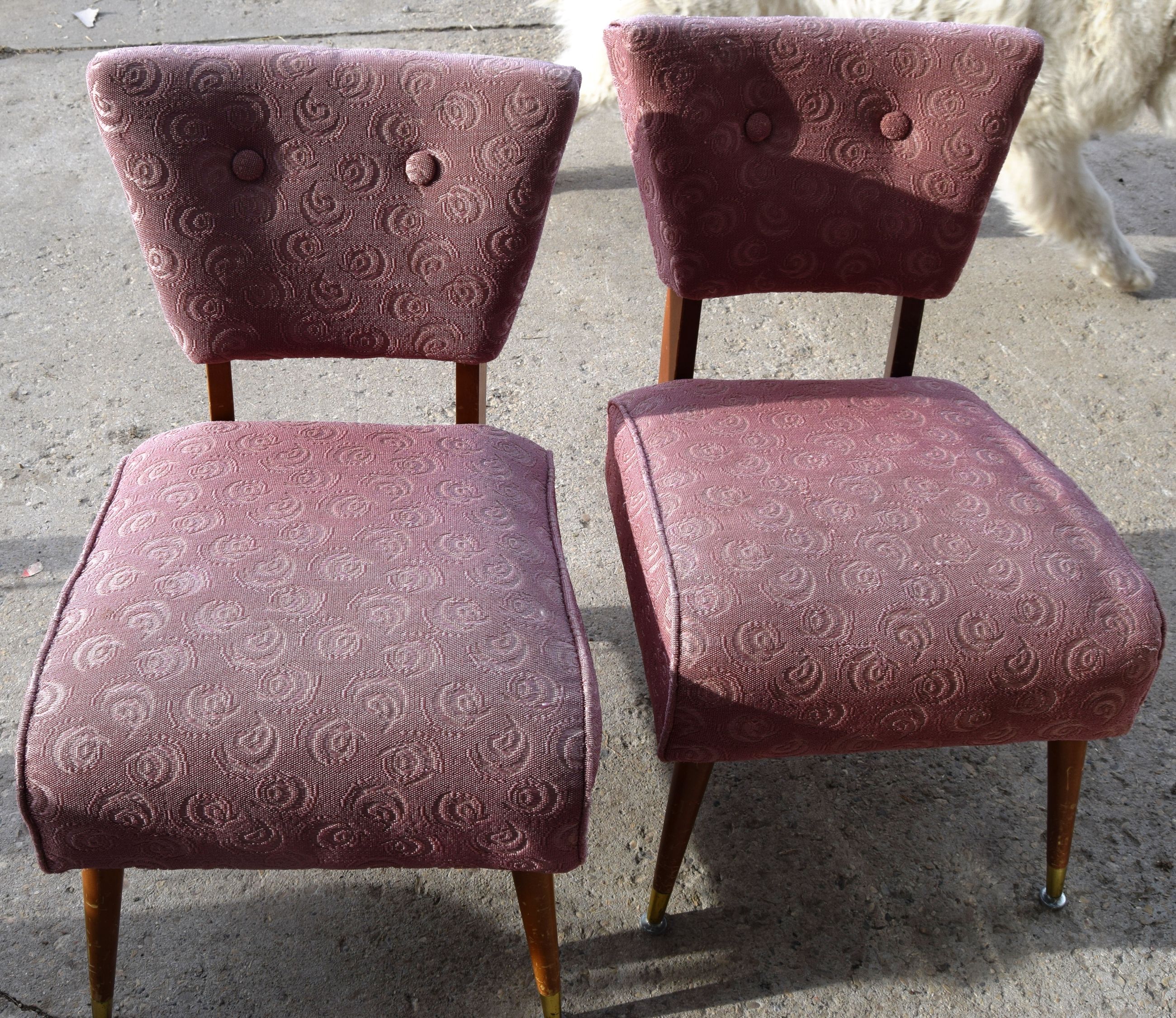 Photo of Two Pristine antique parlor chairs over 70 years old