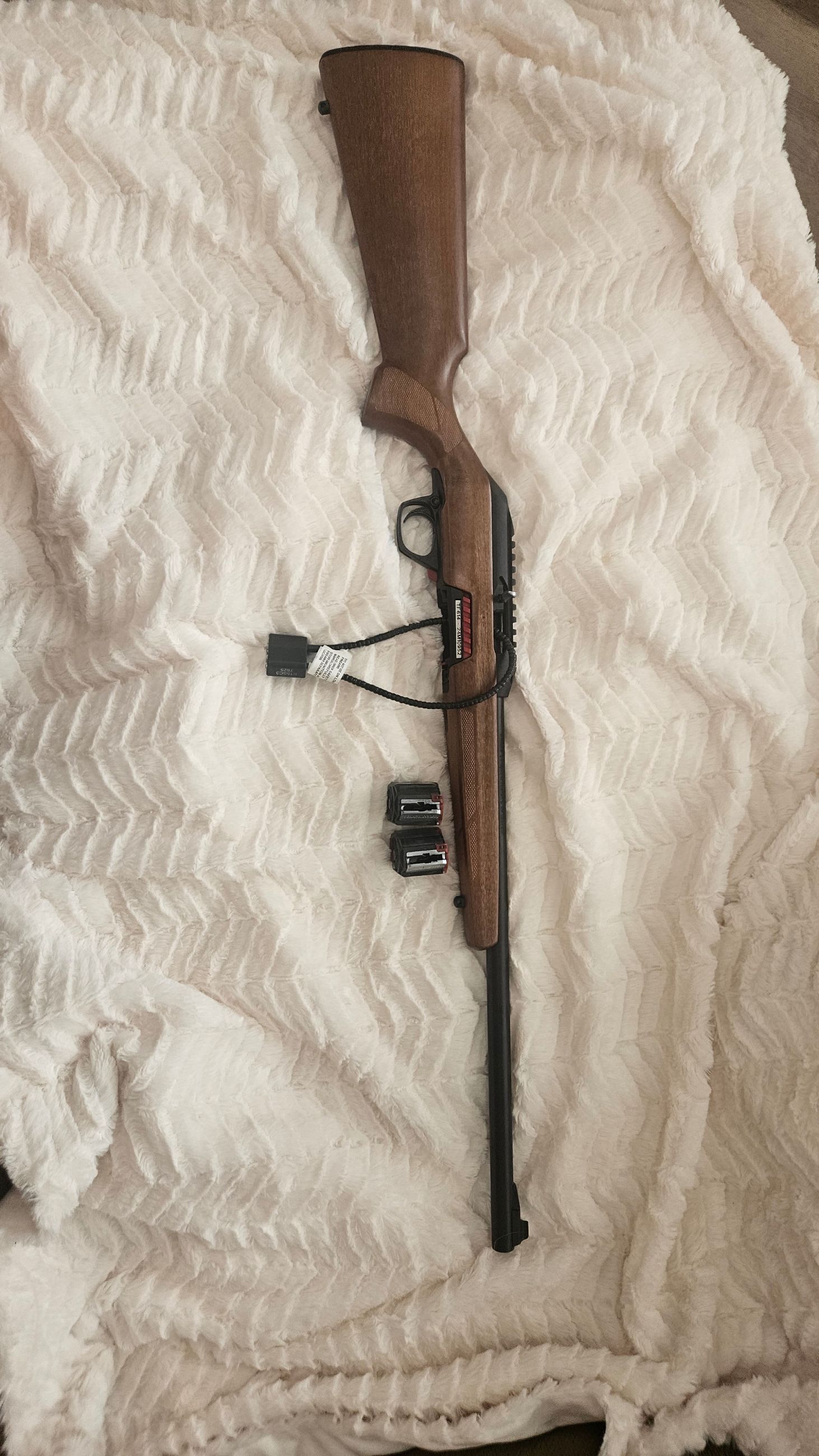 Photo of Winchester Wildcat .22LR