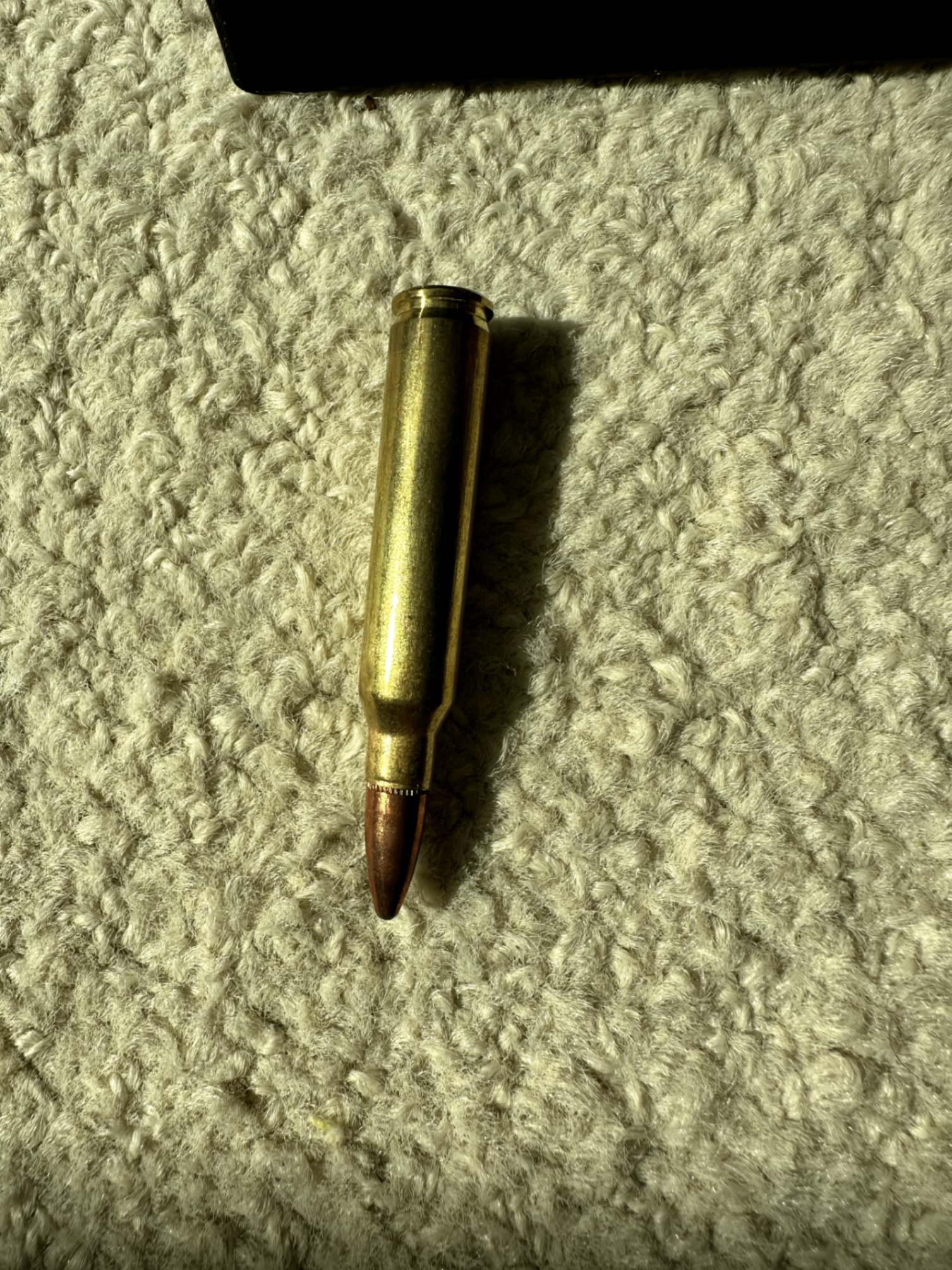 Photo of 223 Ammo Remington UMC BRASS