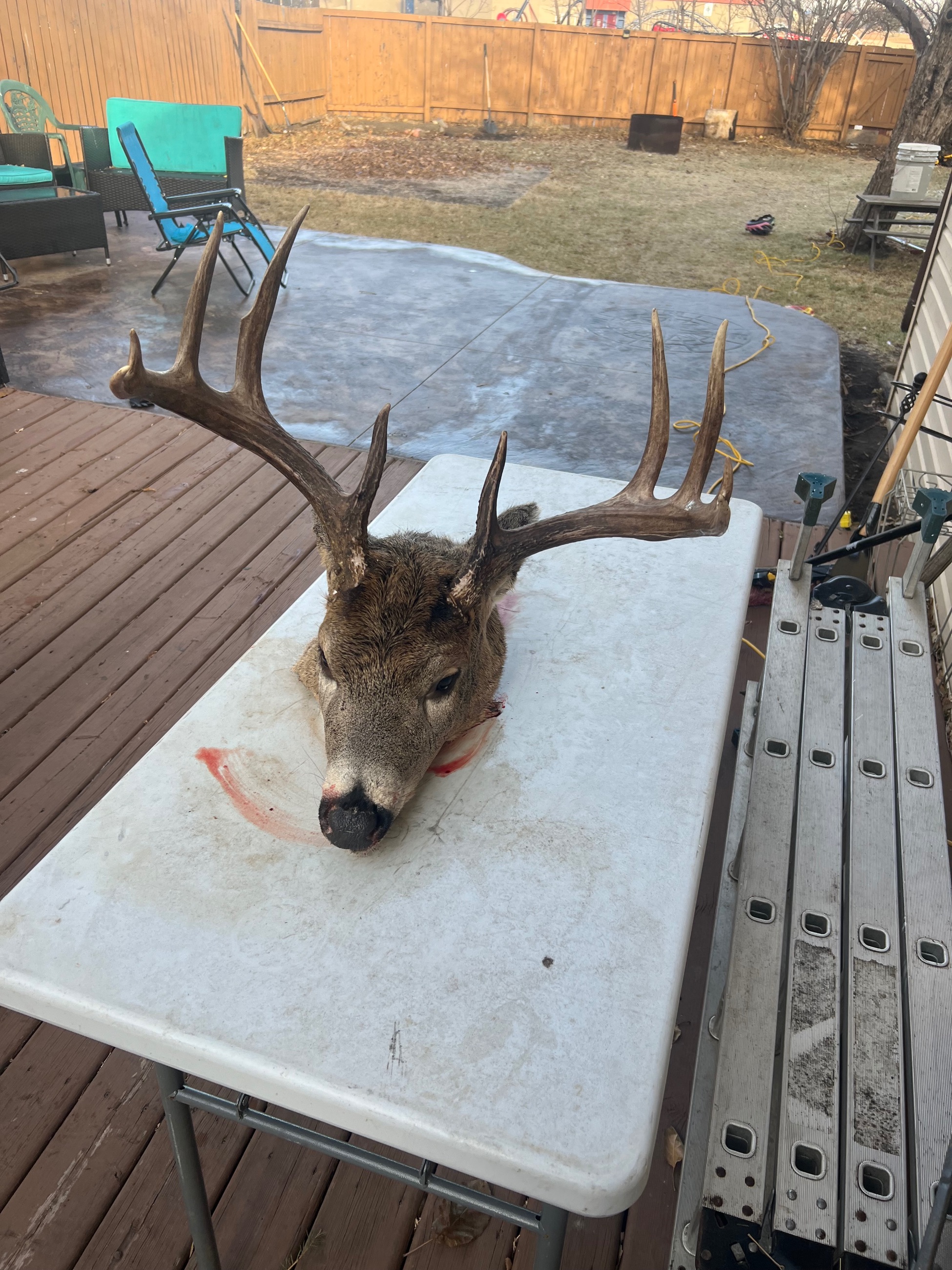 Photo of Looking for a left hand compact rifle 