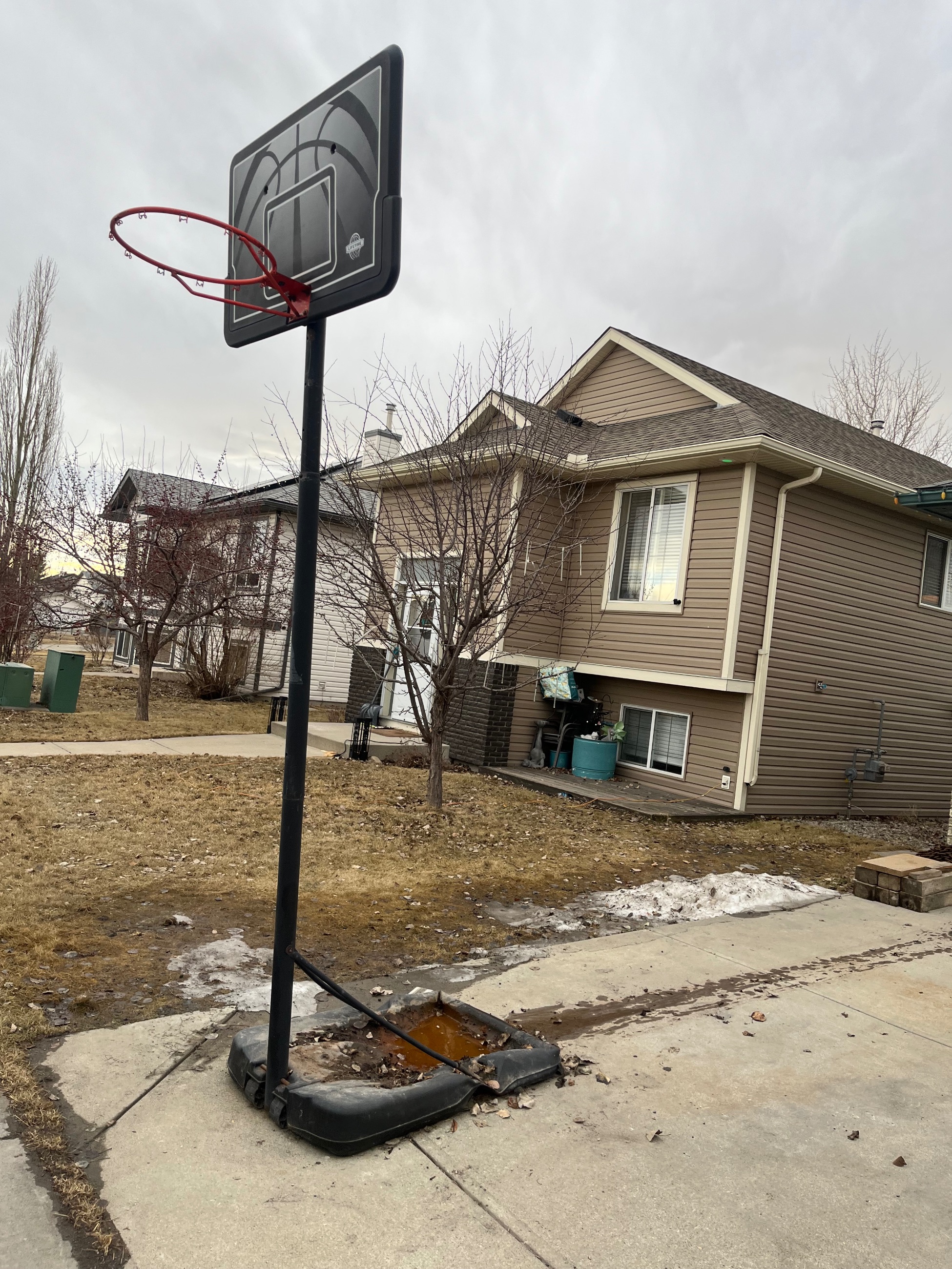 Photo of Basketball Net