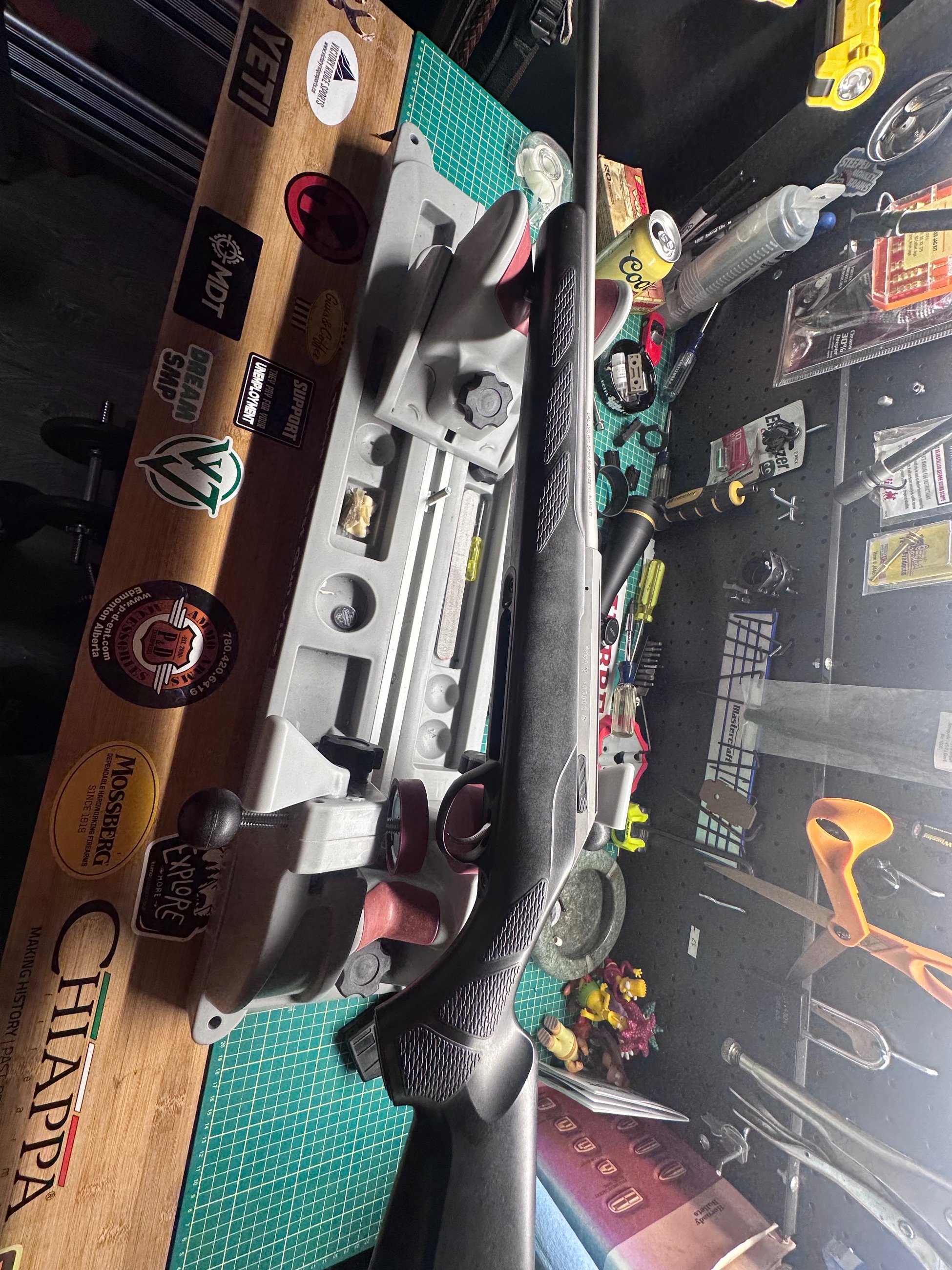 Photo of Tikka T3 SS .270 WSM