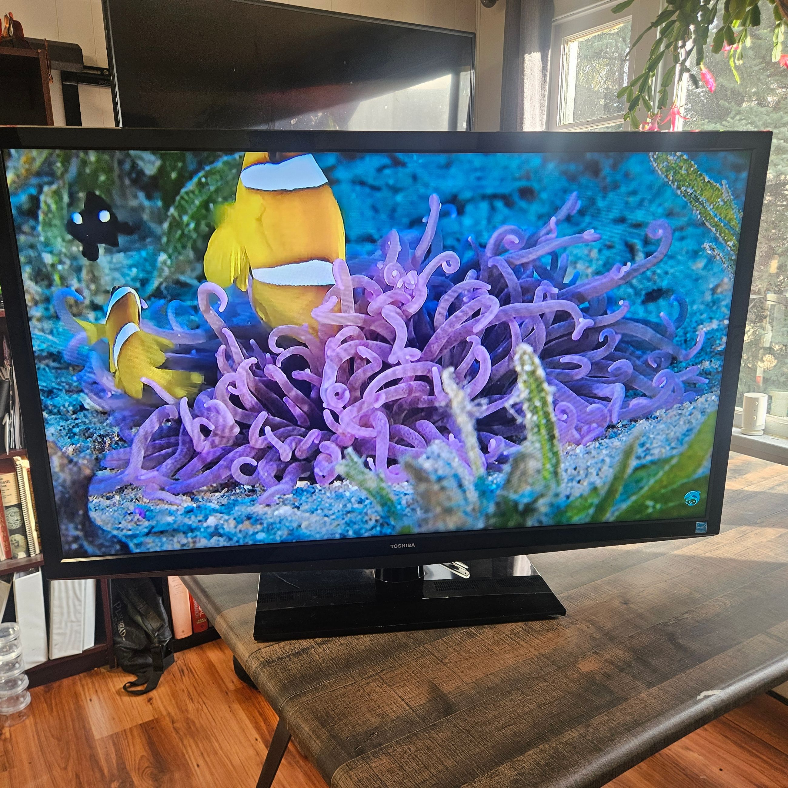 Photo of Toshiba 50-inch 1080p LED-backlit LCD television Model 50L2200U