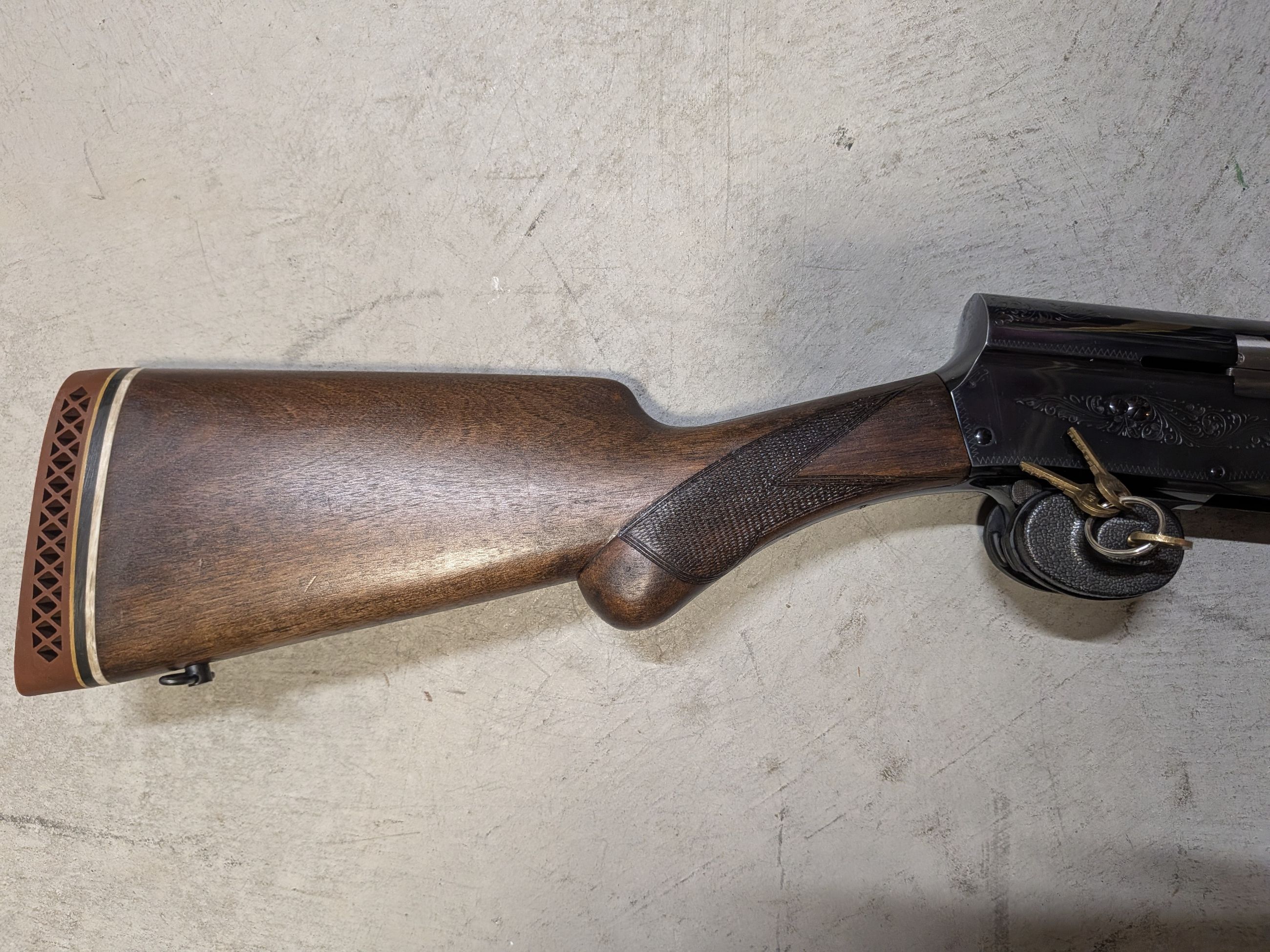 Photo of Browning Light Twelve