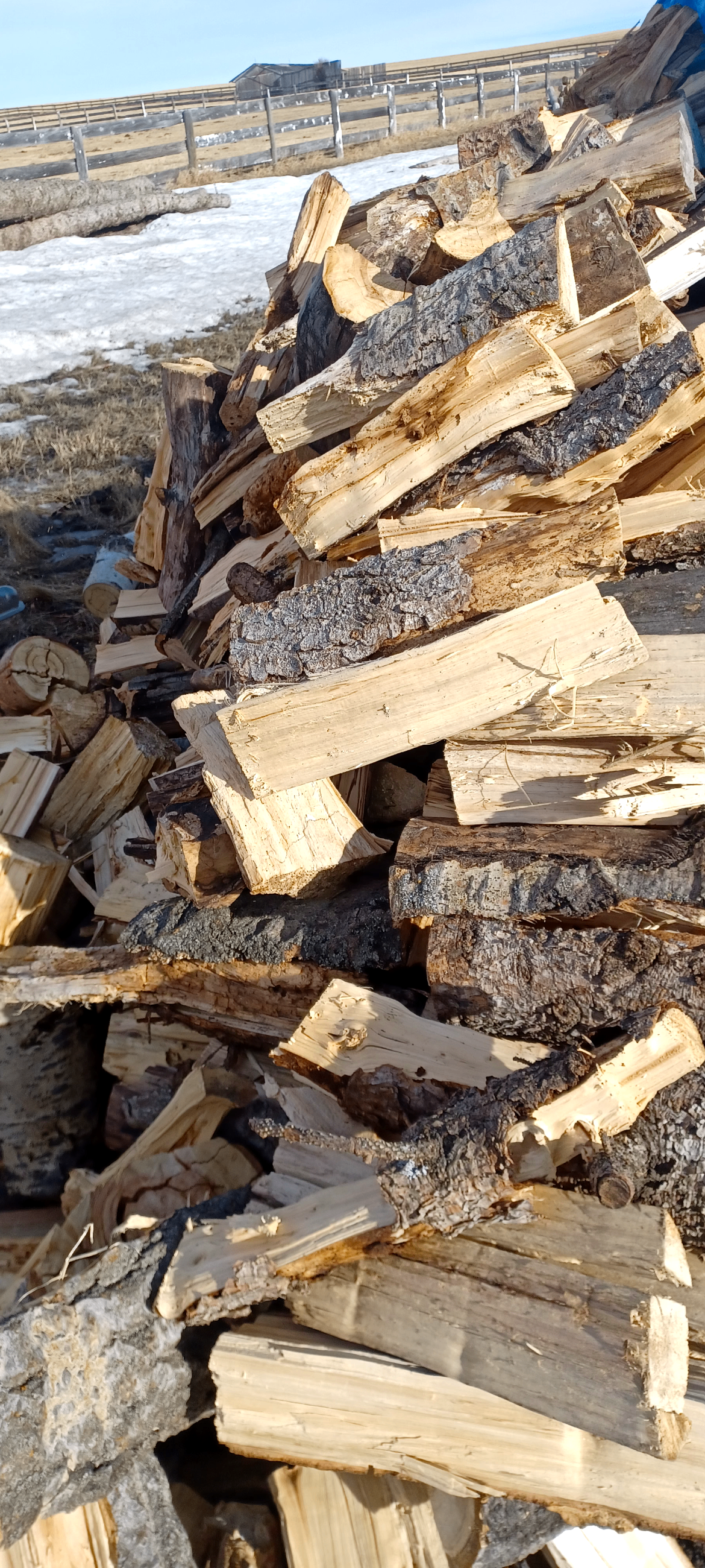 Photo of TRUCK LOAD OF FIREWOOD