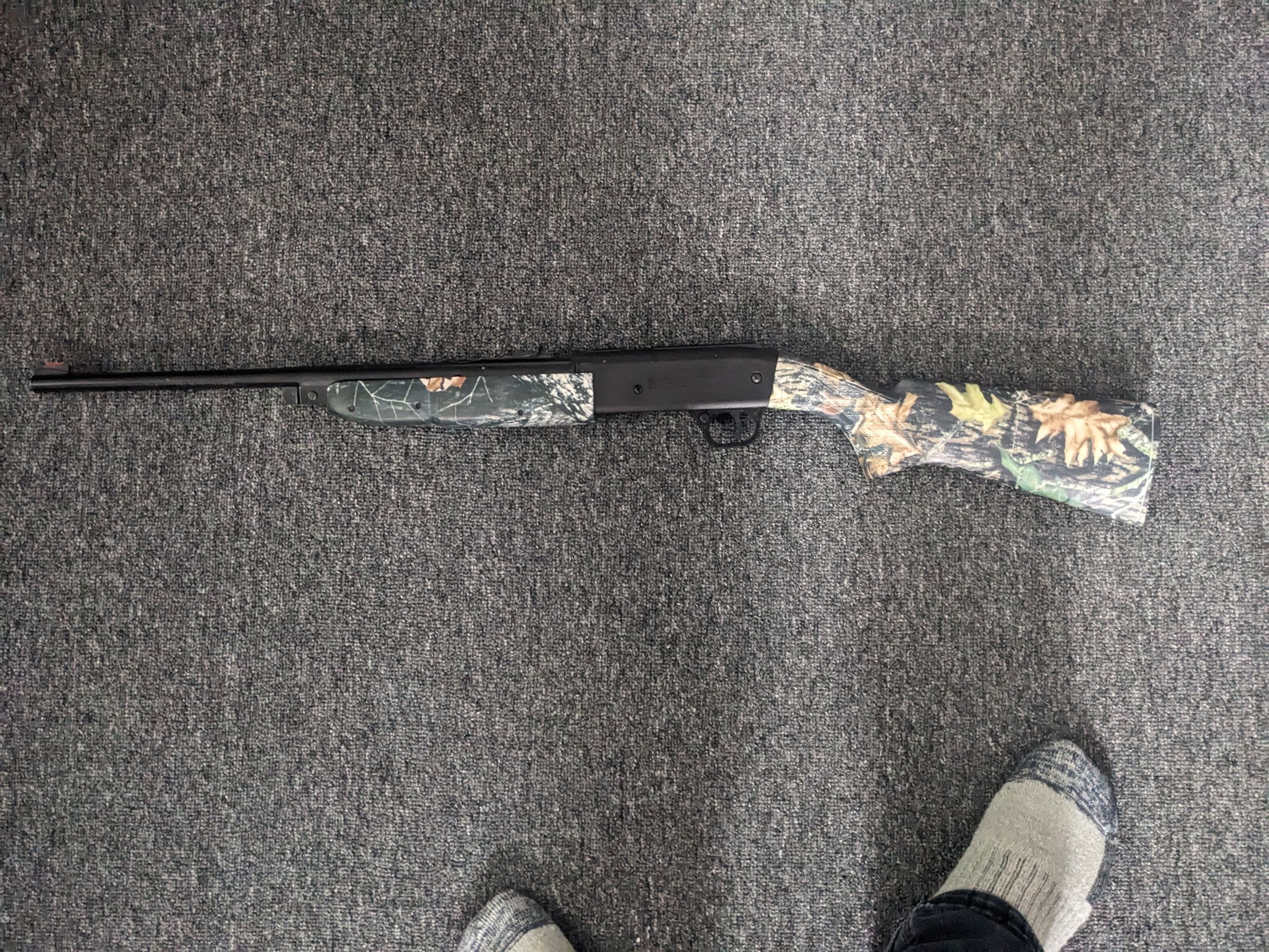 Photo of Grizzly BB, pellet gun 