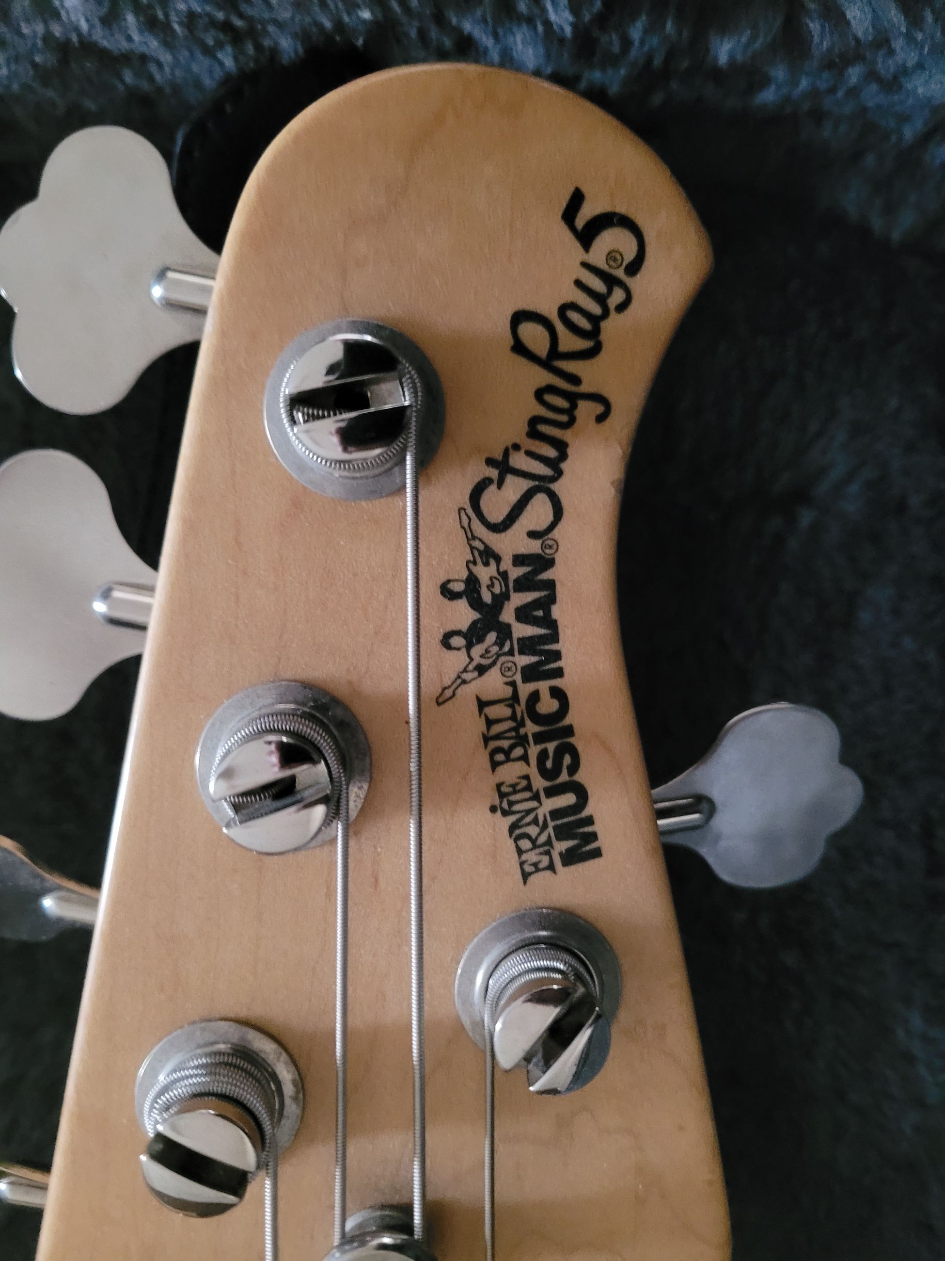Photo of Ernie Ball 5 string bass guitar