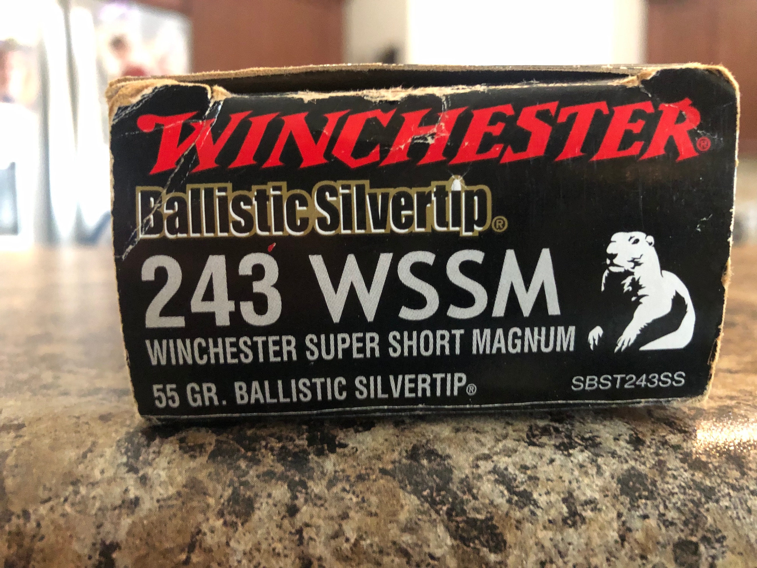 Photo of 243 Winchester wssm