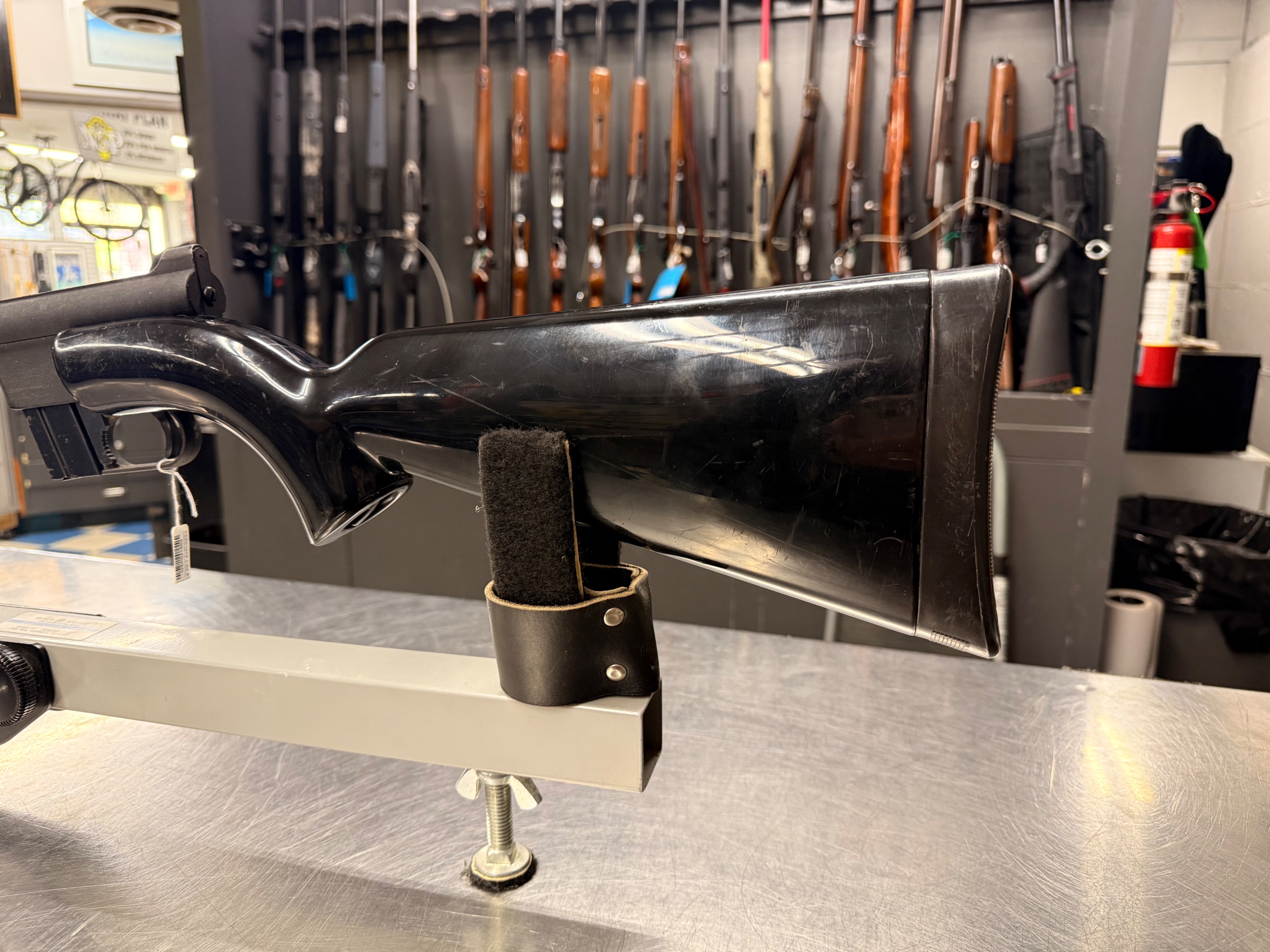 Photo of AR-7 Explorer 