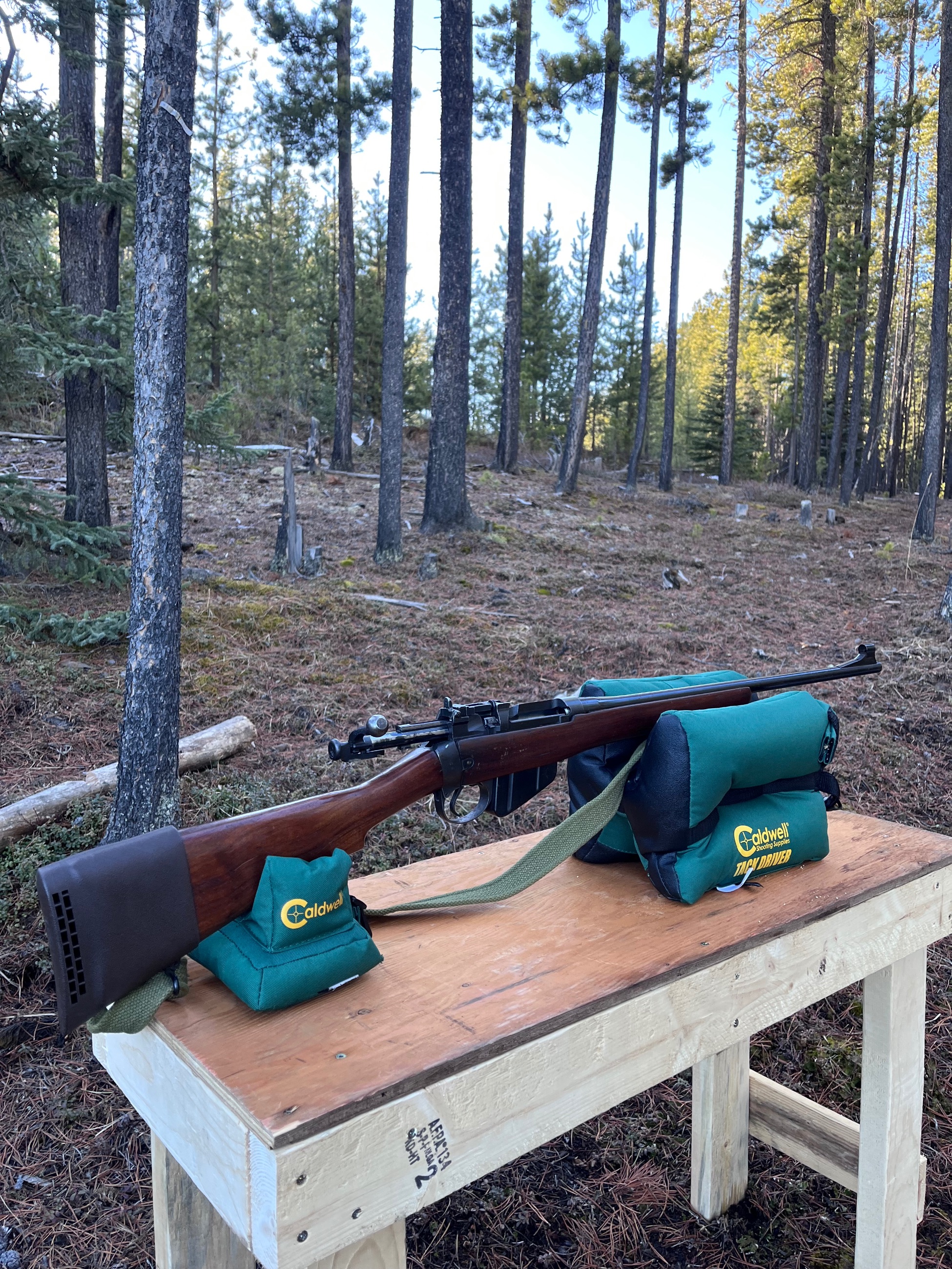 Photo of Lee Enfield 303
