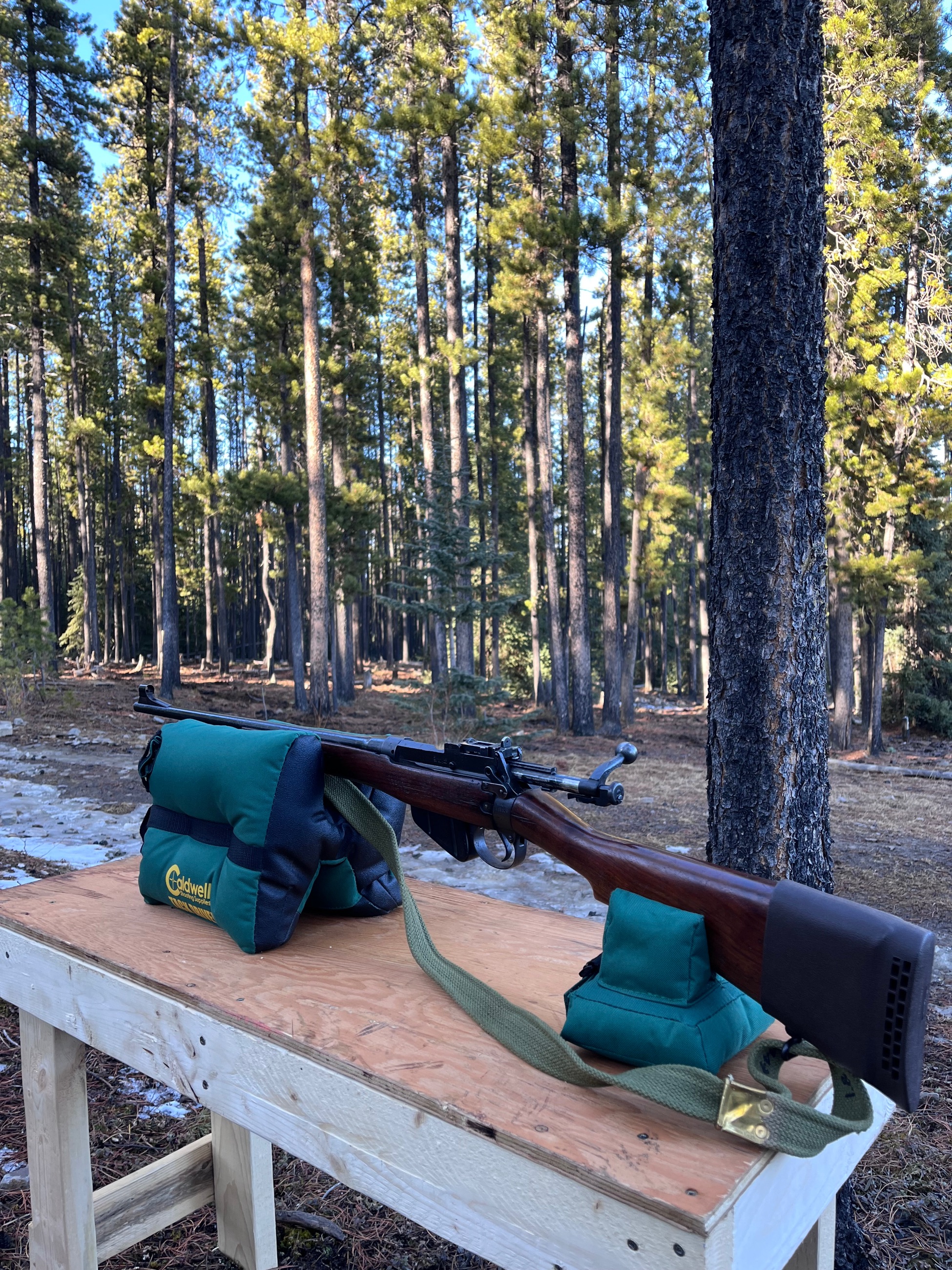 Photo of Lee Enfield 303