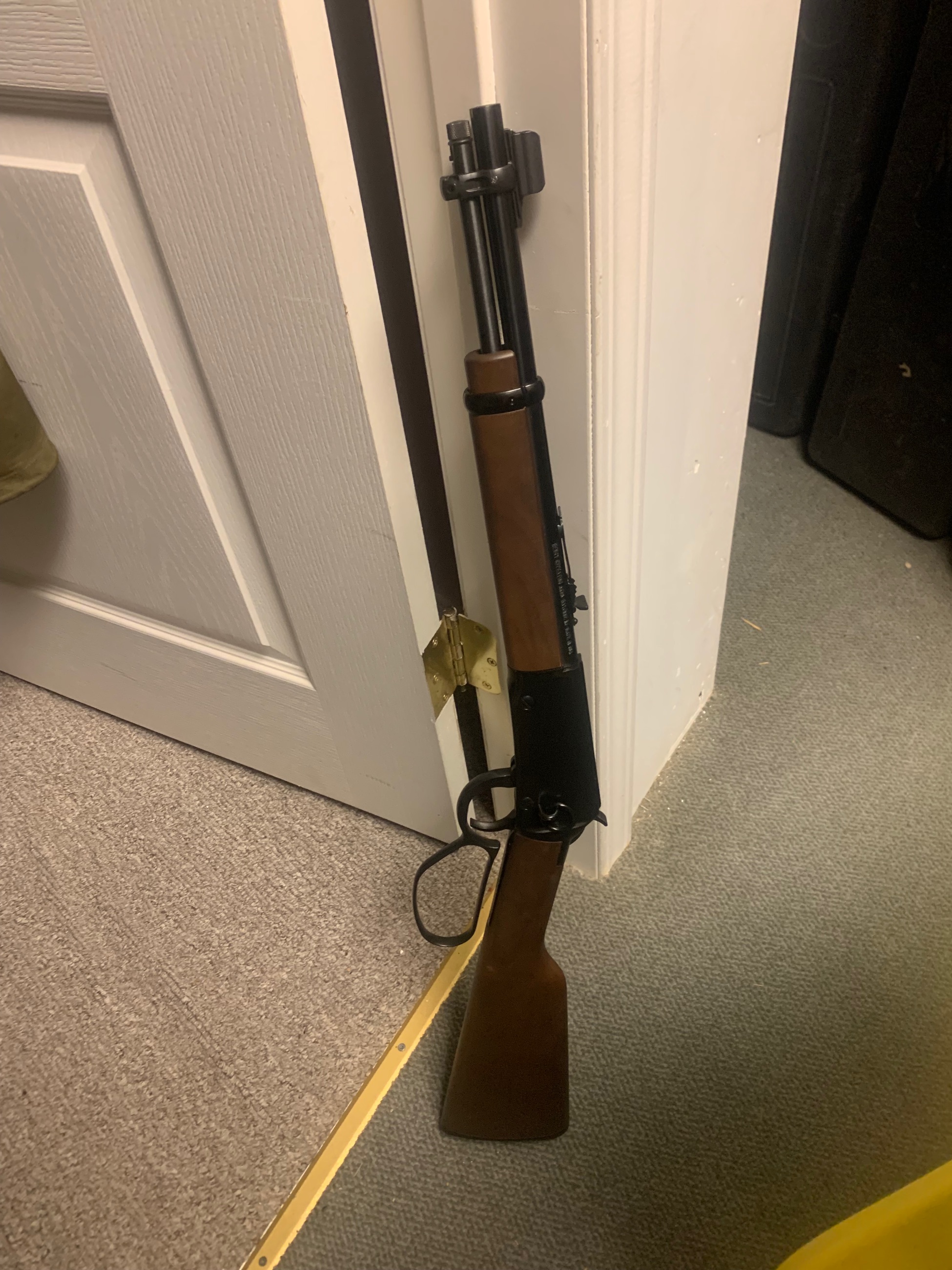 Photo of Henry mares leg 22LR with full size stock