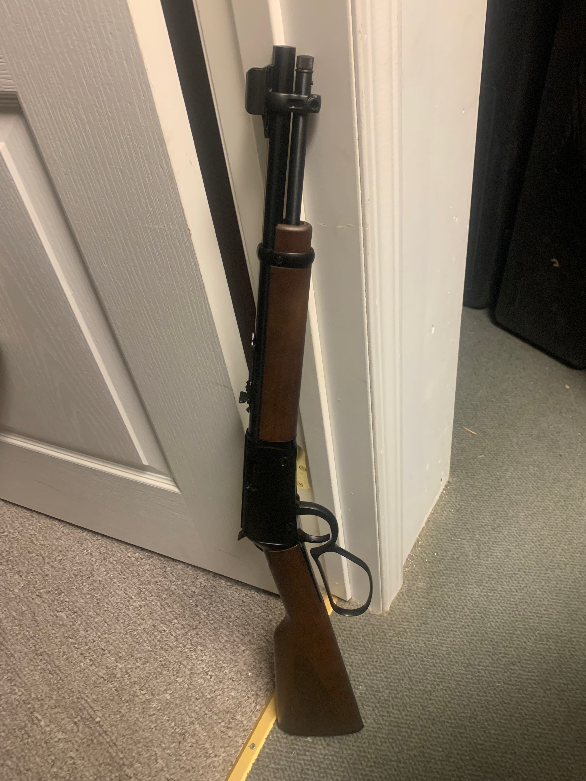Photo of Henry mares leg 22LR with full size stock