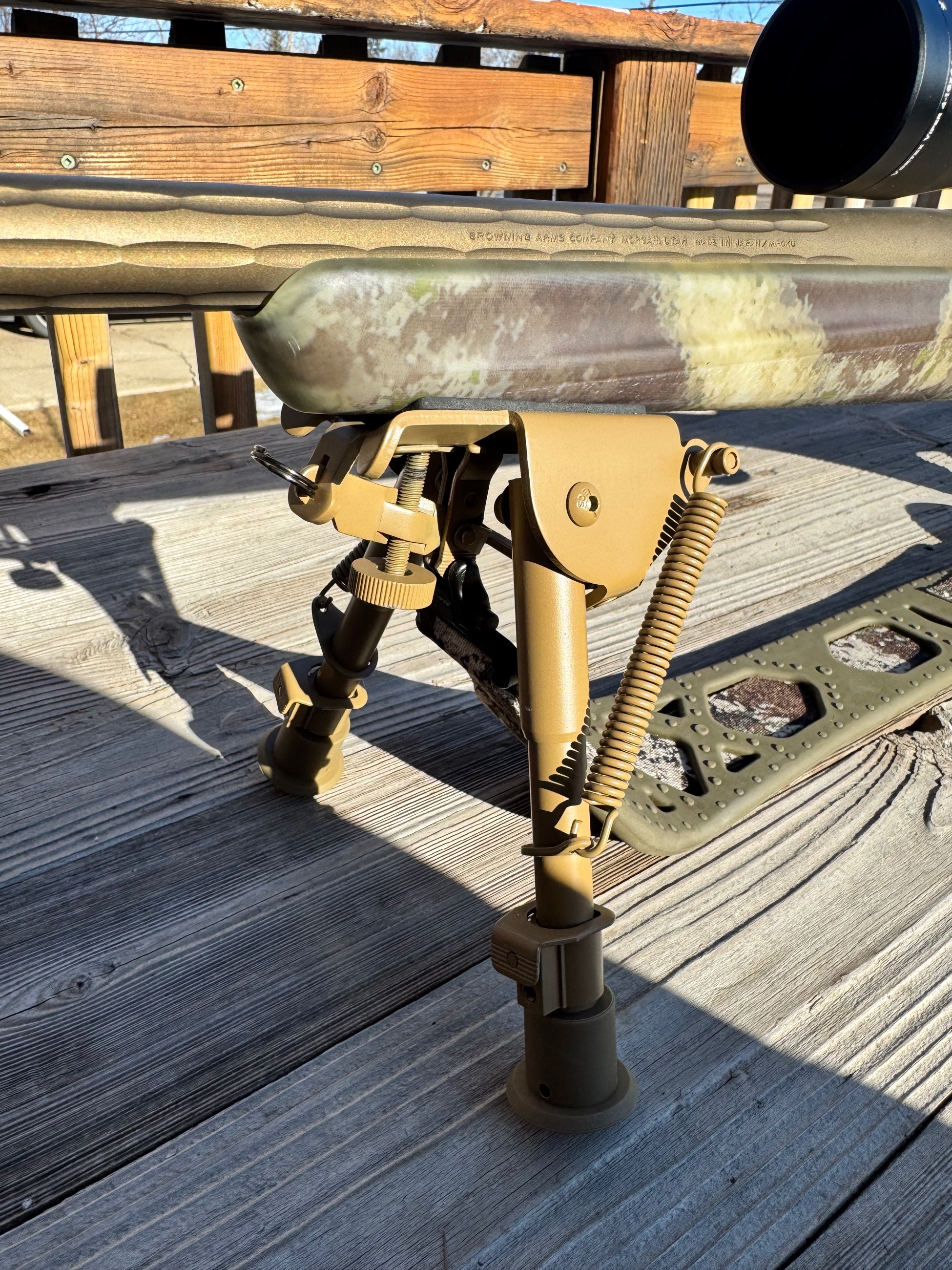 Photo of Browning hells canyon long range 