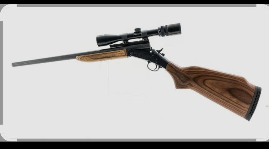 Photo of Wanted 223 rem