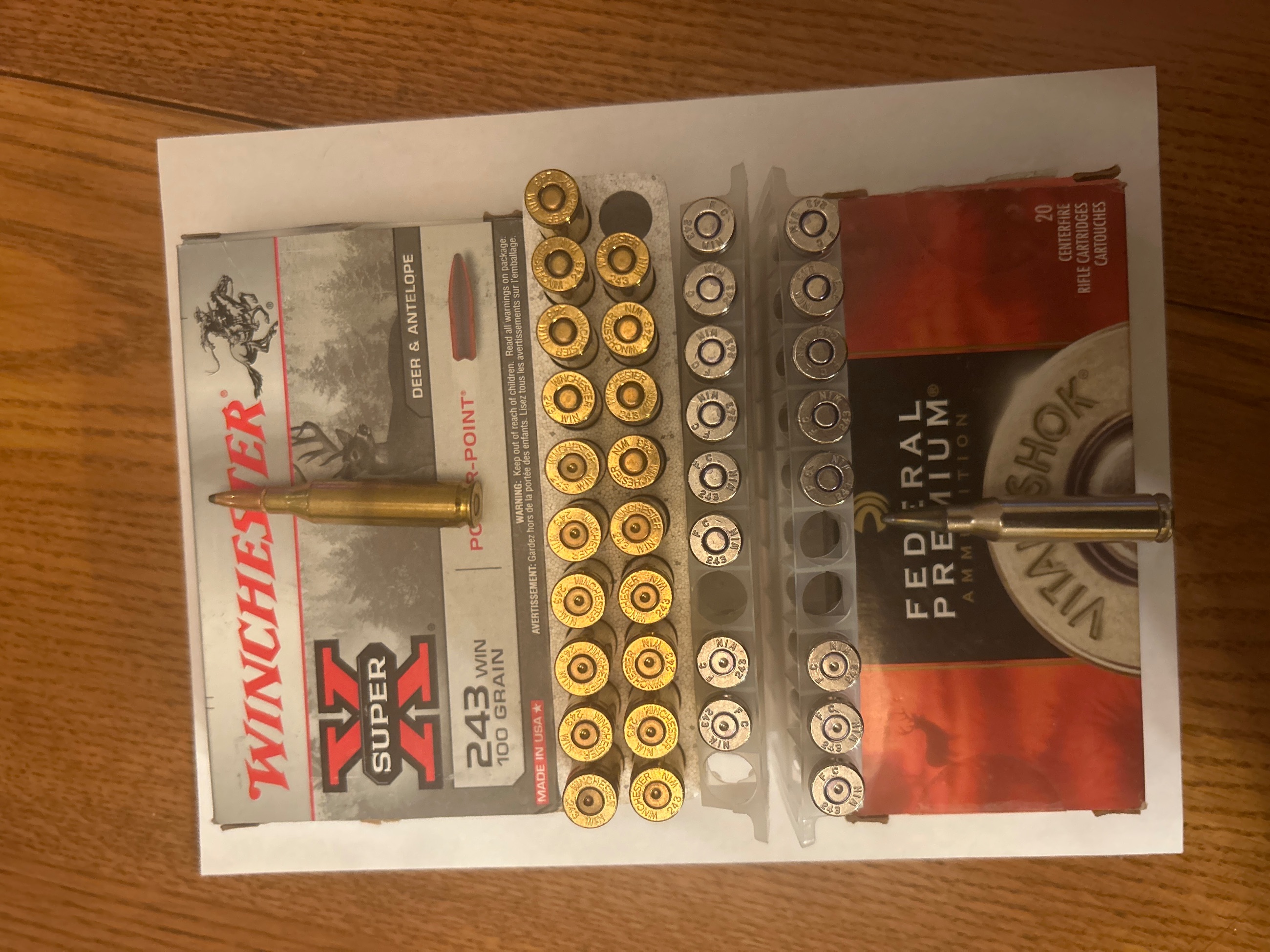 Photo of 243 ammunition 