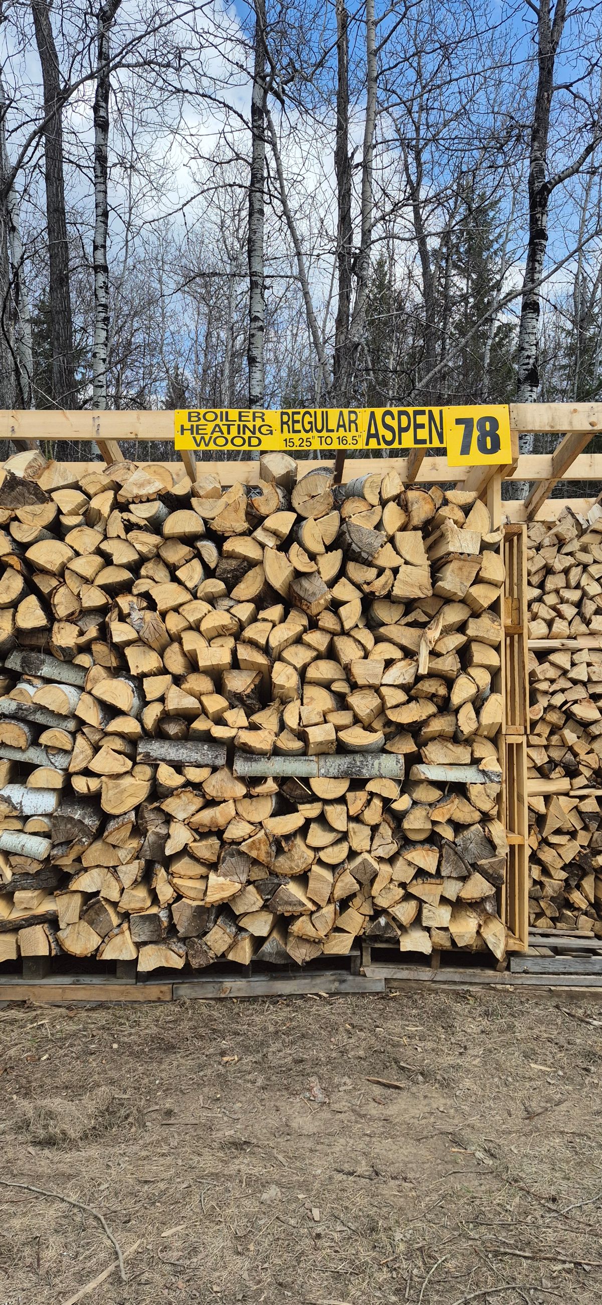 Seasoned Dry Split Firewood - 12 - 1759109756944_20250426_152132
