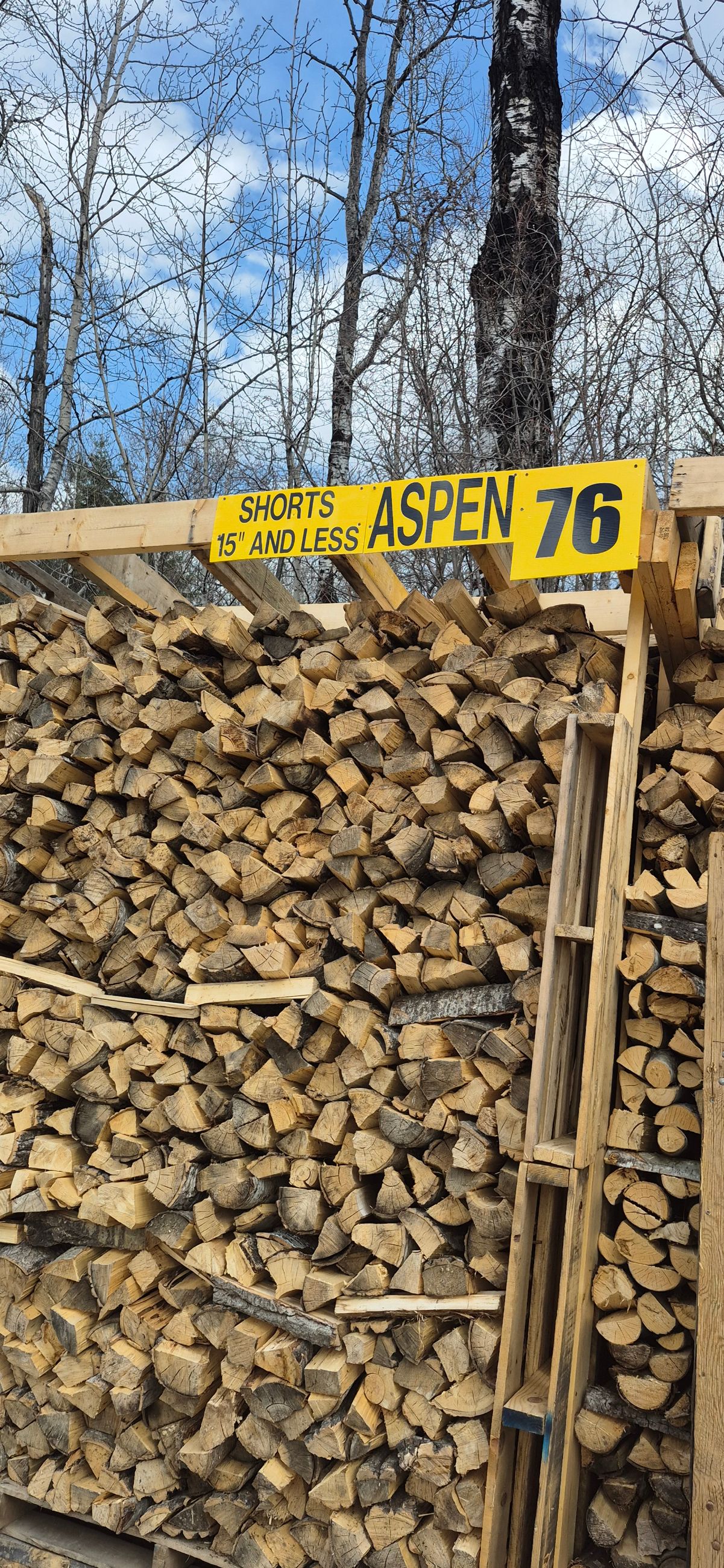 Seasoned Dry Split Firewood - 14 - 1759109790077_20250426_152156