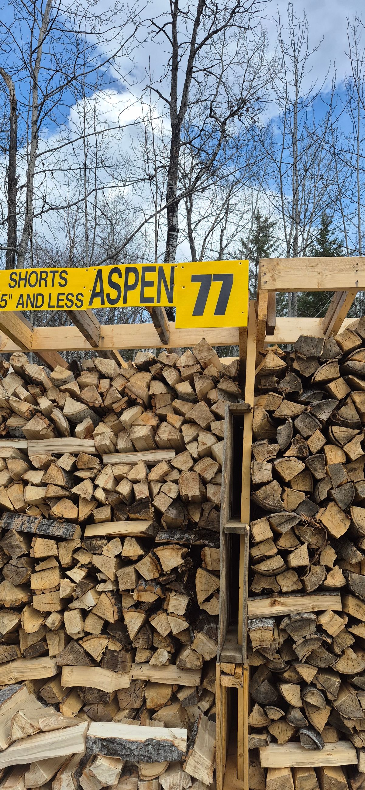 Seasoned Dry Split Firewood - 15 - 1759109805235_20250426_152205