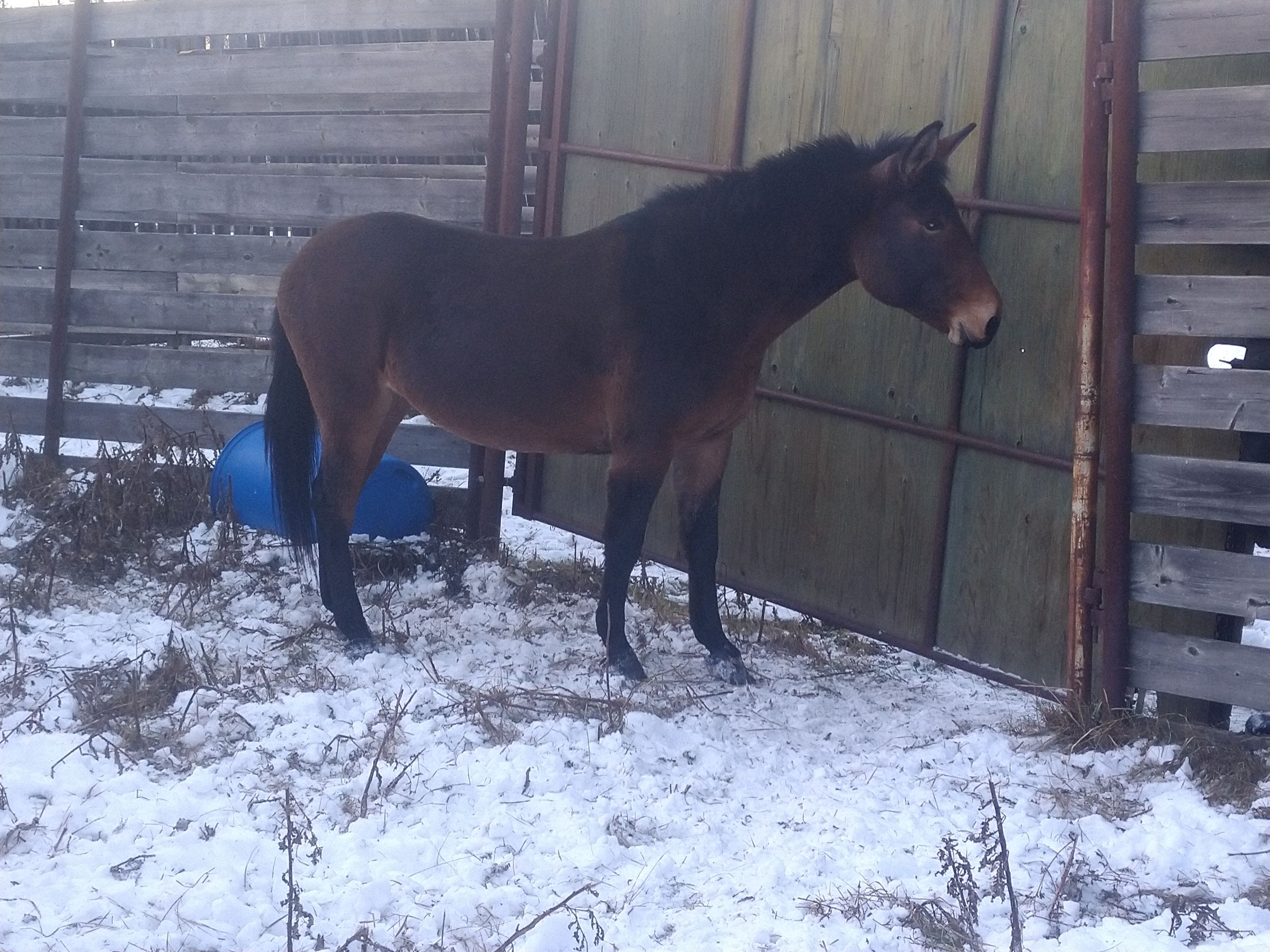 Photo of Gorgeous Jenny 