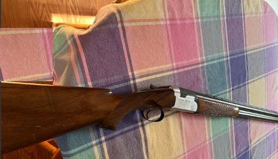 Photo of Beretta Silver Snipe 12 ga