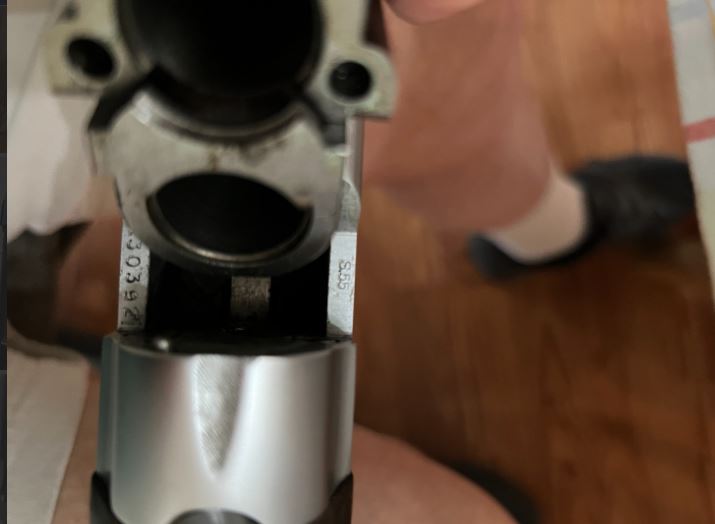 Photo of Beretta Silver Snipe 12 ga