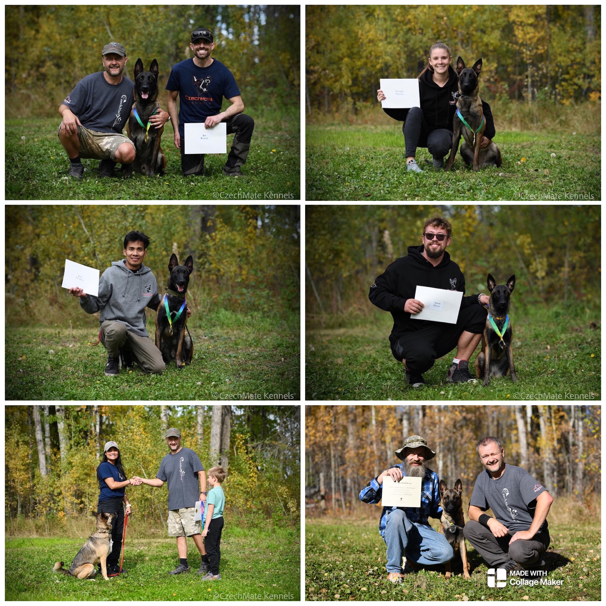 Photo of Malinois puppies for sale