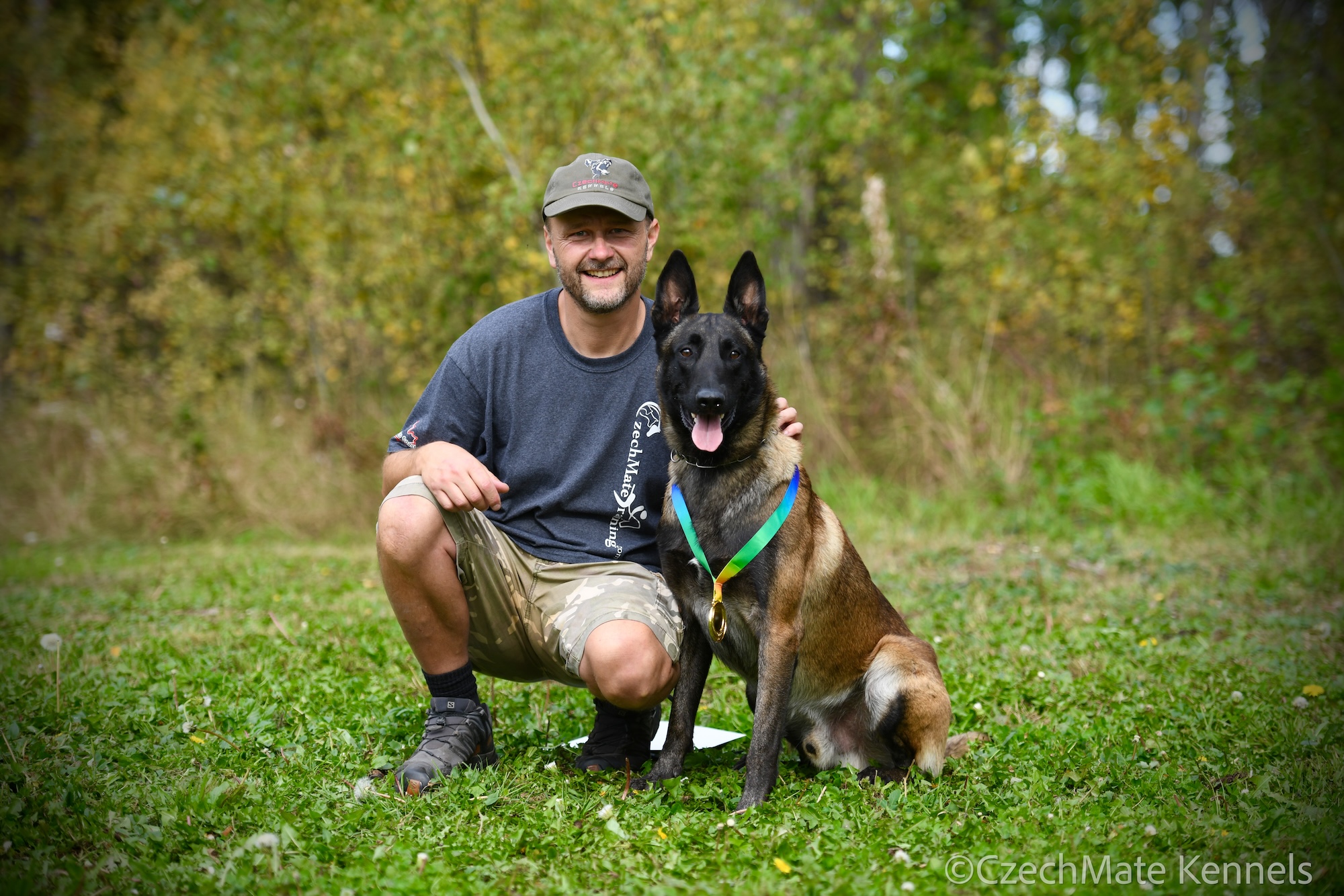 Photo of Malinois puppies for sale