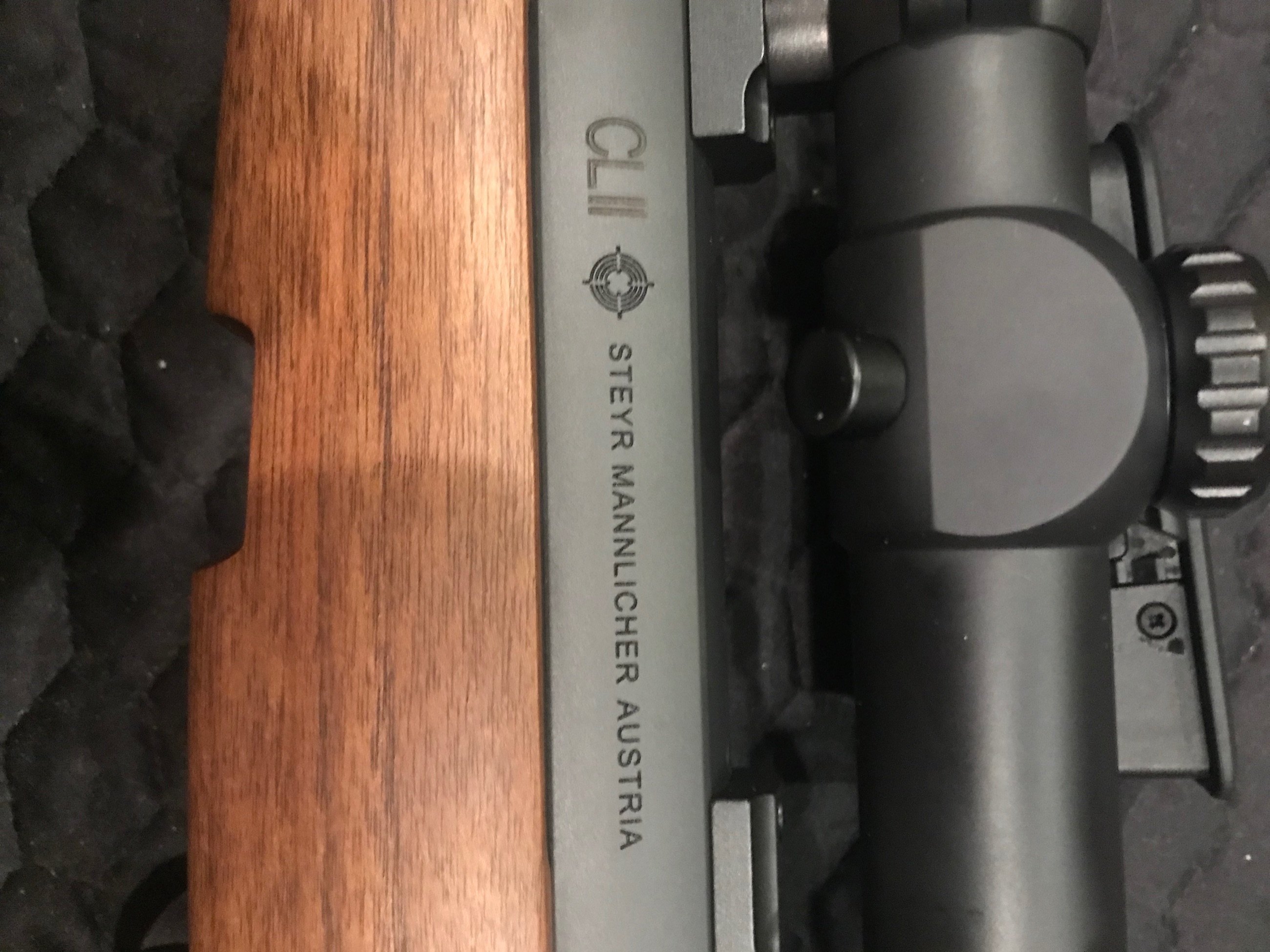 Photo of steyr 300win