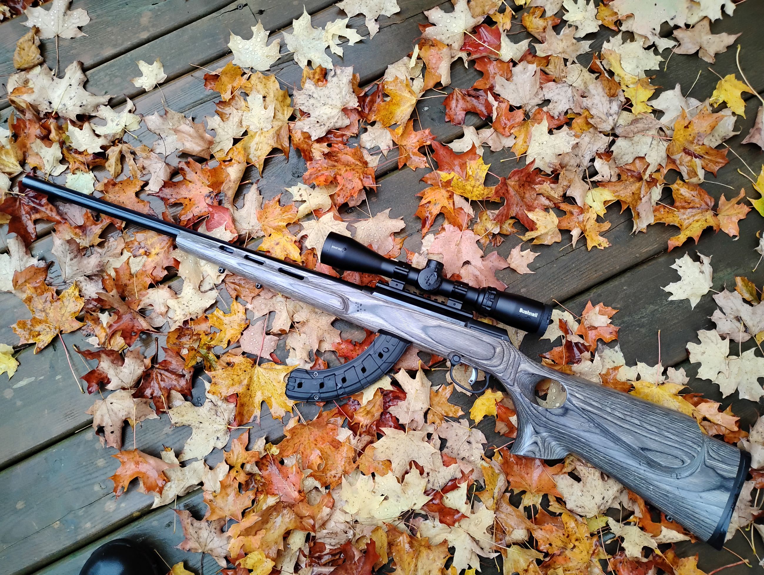 Photo of Semi automatic .22 trades considered 