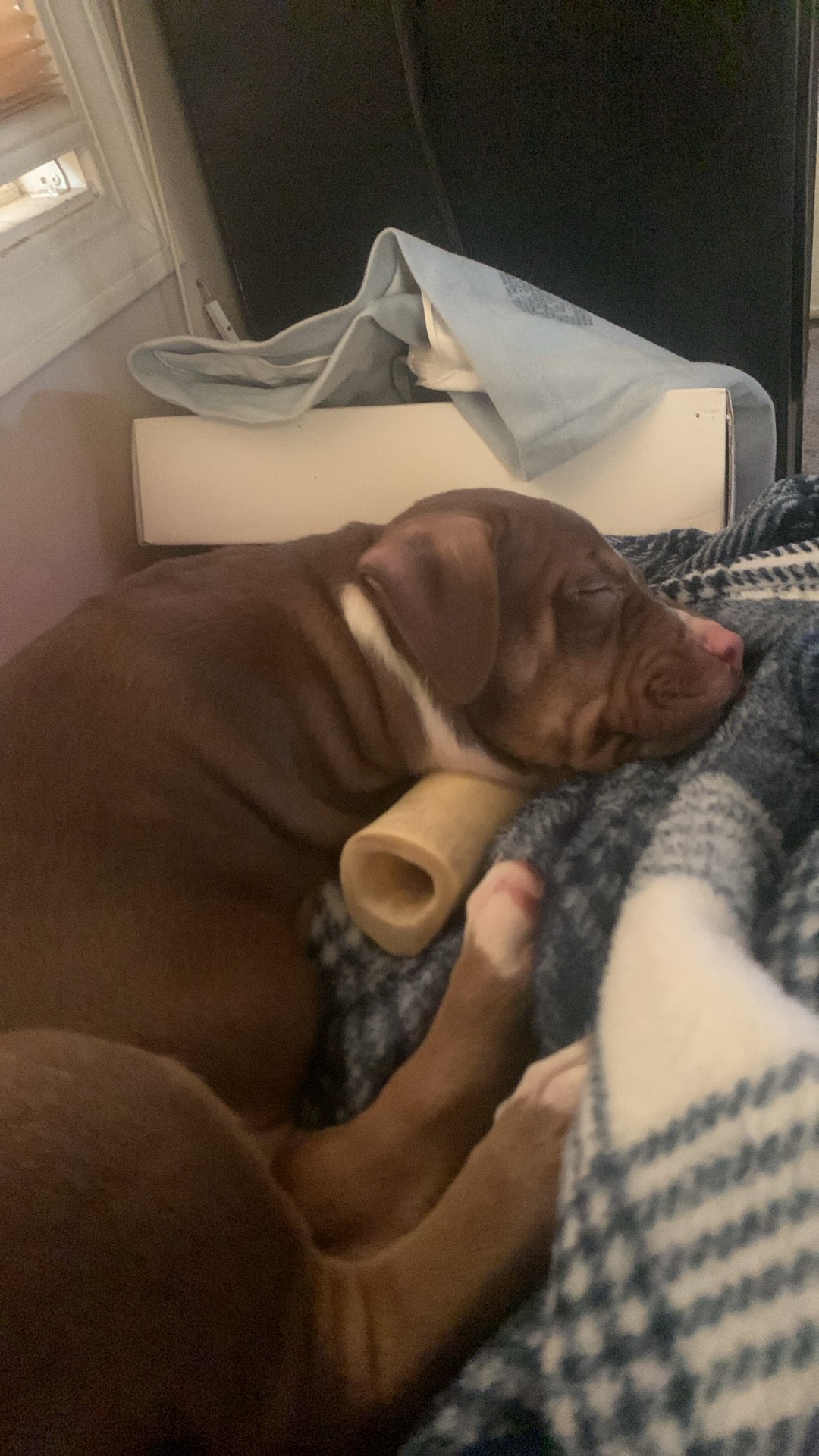 Photo of In need of a home 