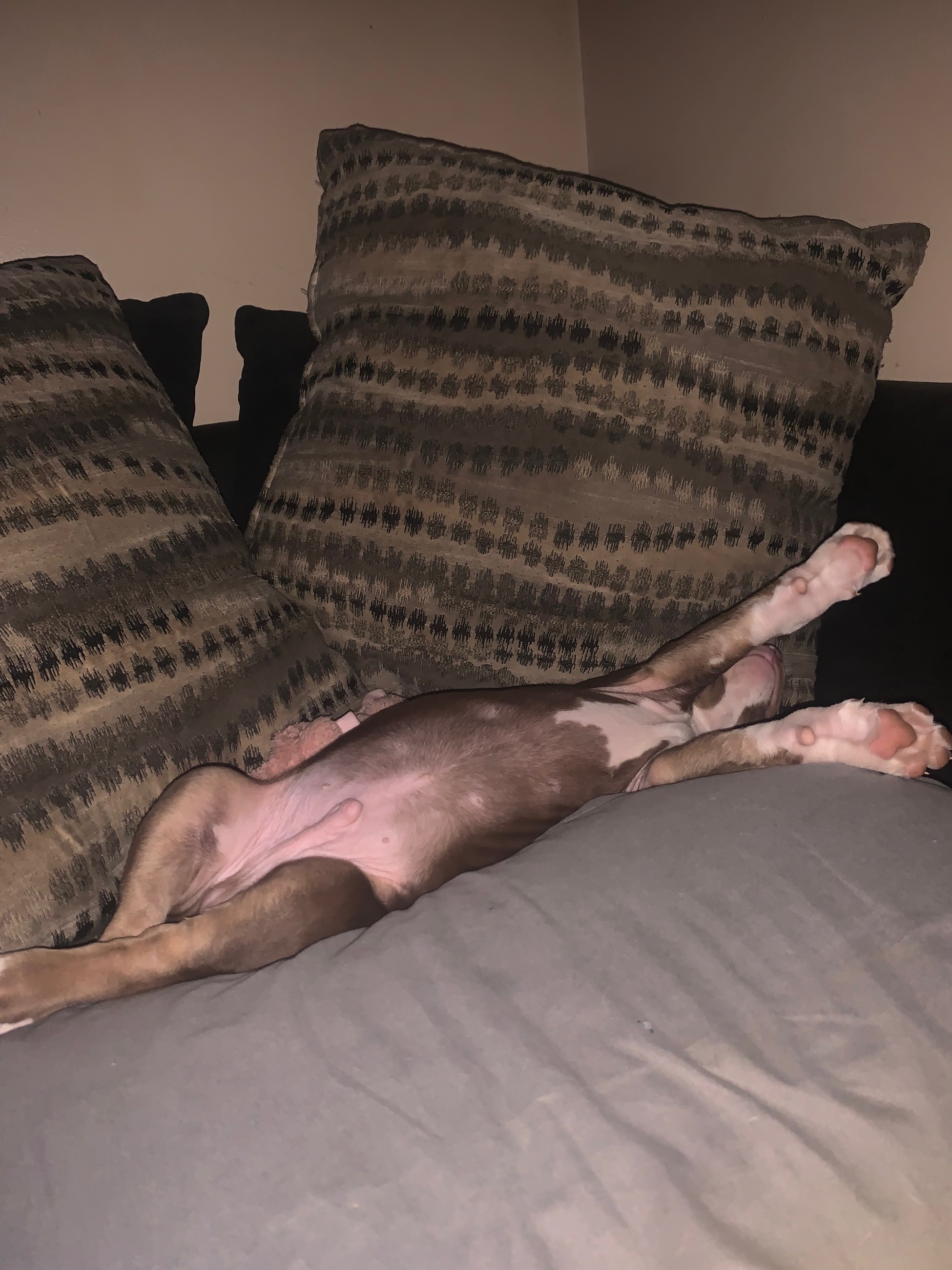 Photo of In need of a home 