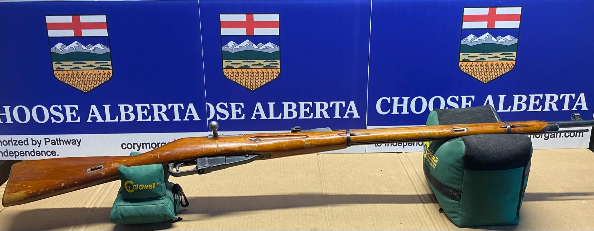 Photo of Mosin Nagant 91/30.