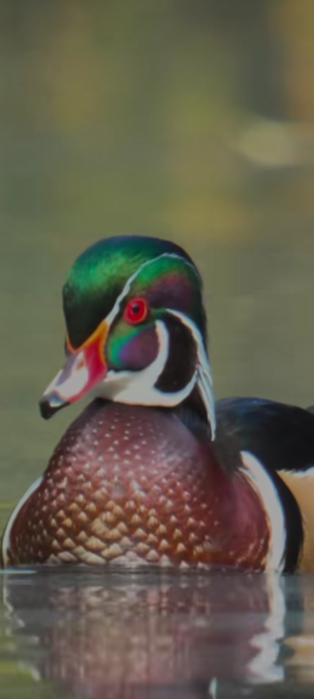 User profile image