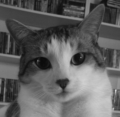 User profile image