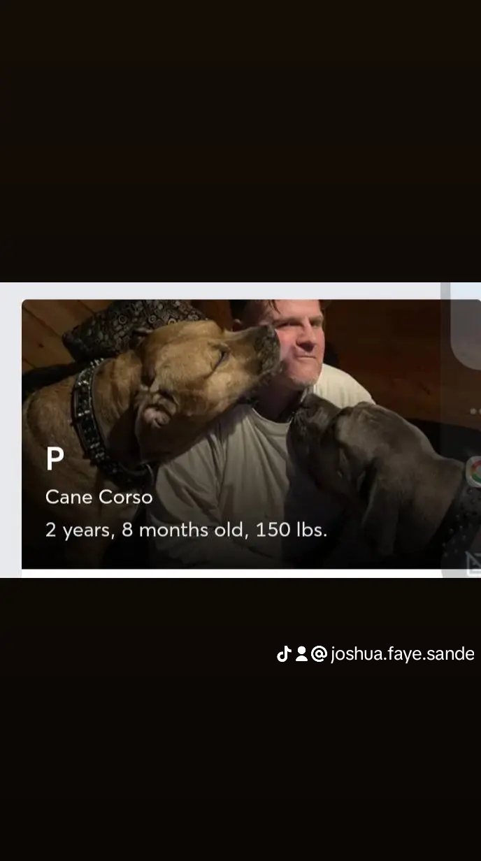 User profile image